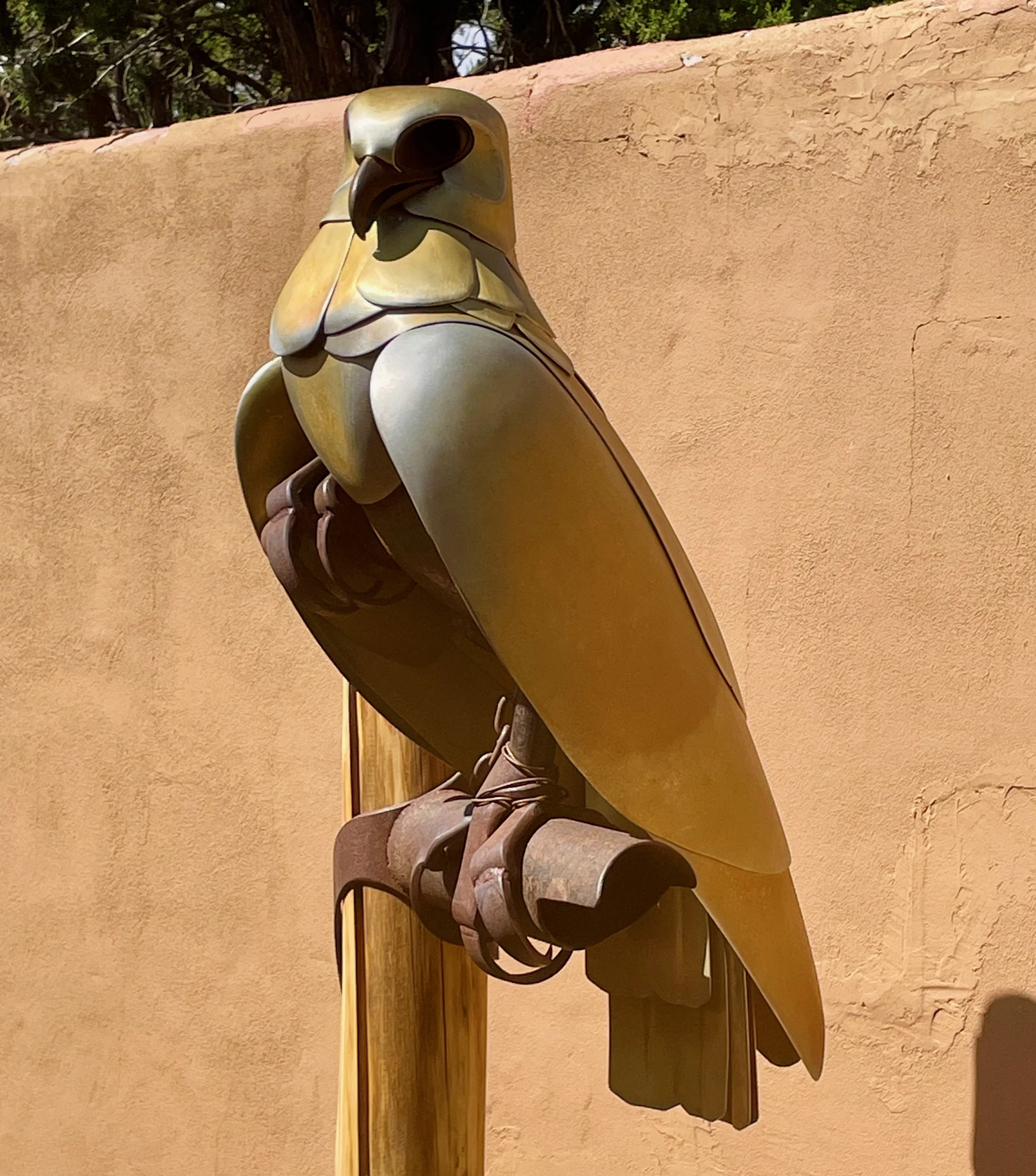 DAVID TALON II.