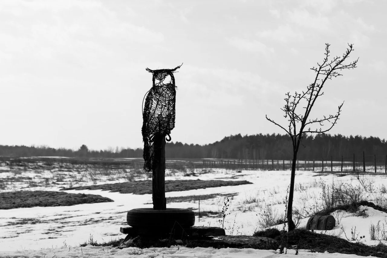 BARBED OWLS.