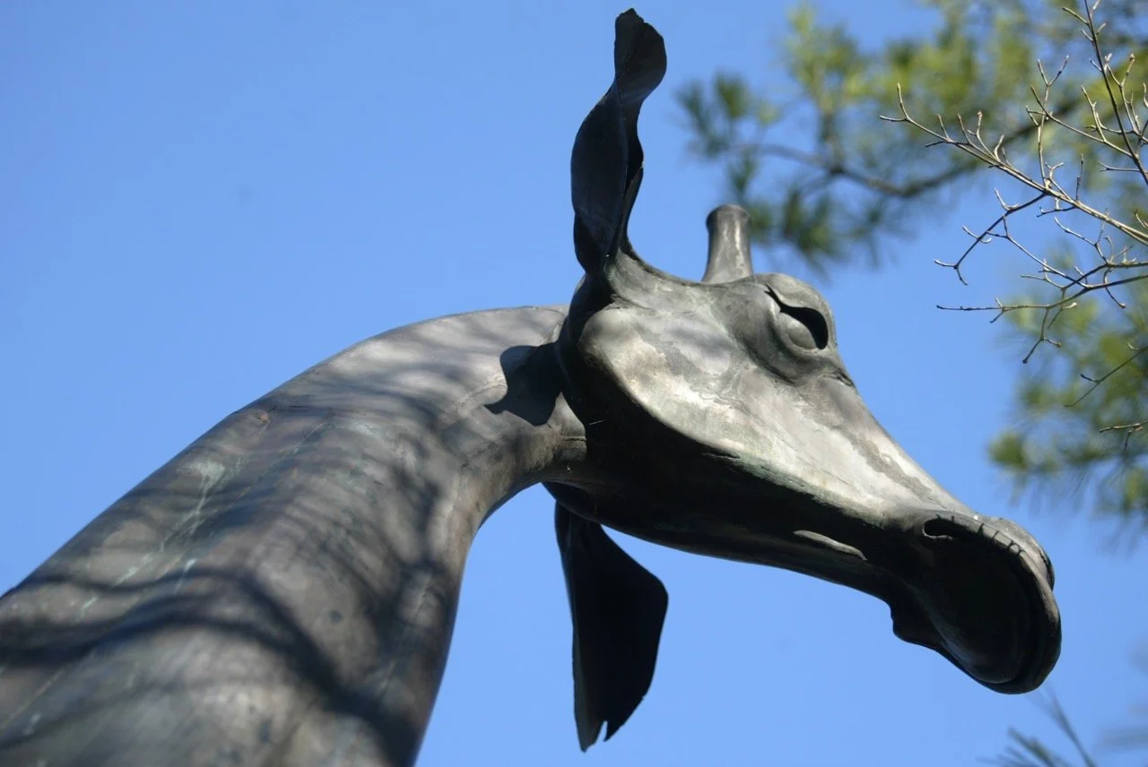 Giraffe 12.jpg
