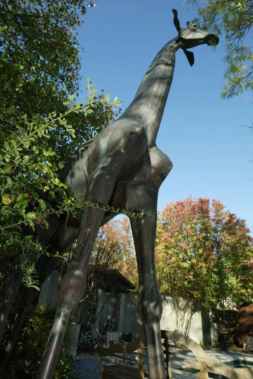 Giraffe 6.jpg