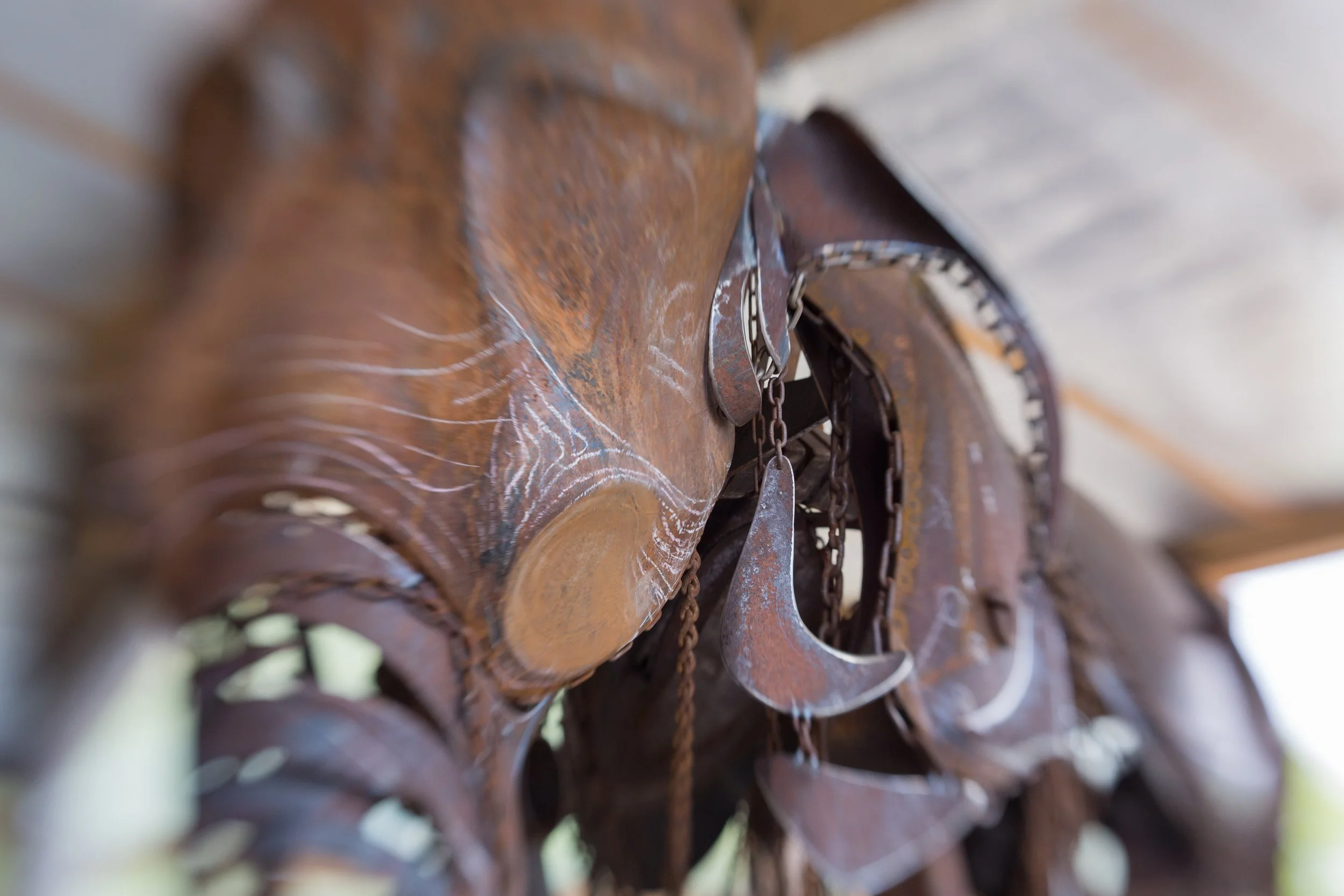 Elephant May 2015-1.JPG