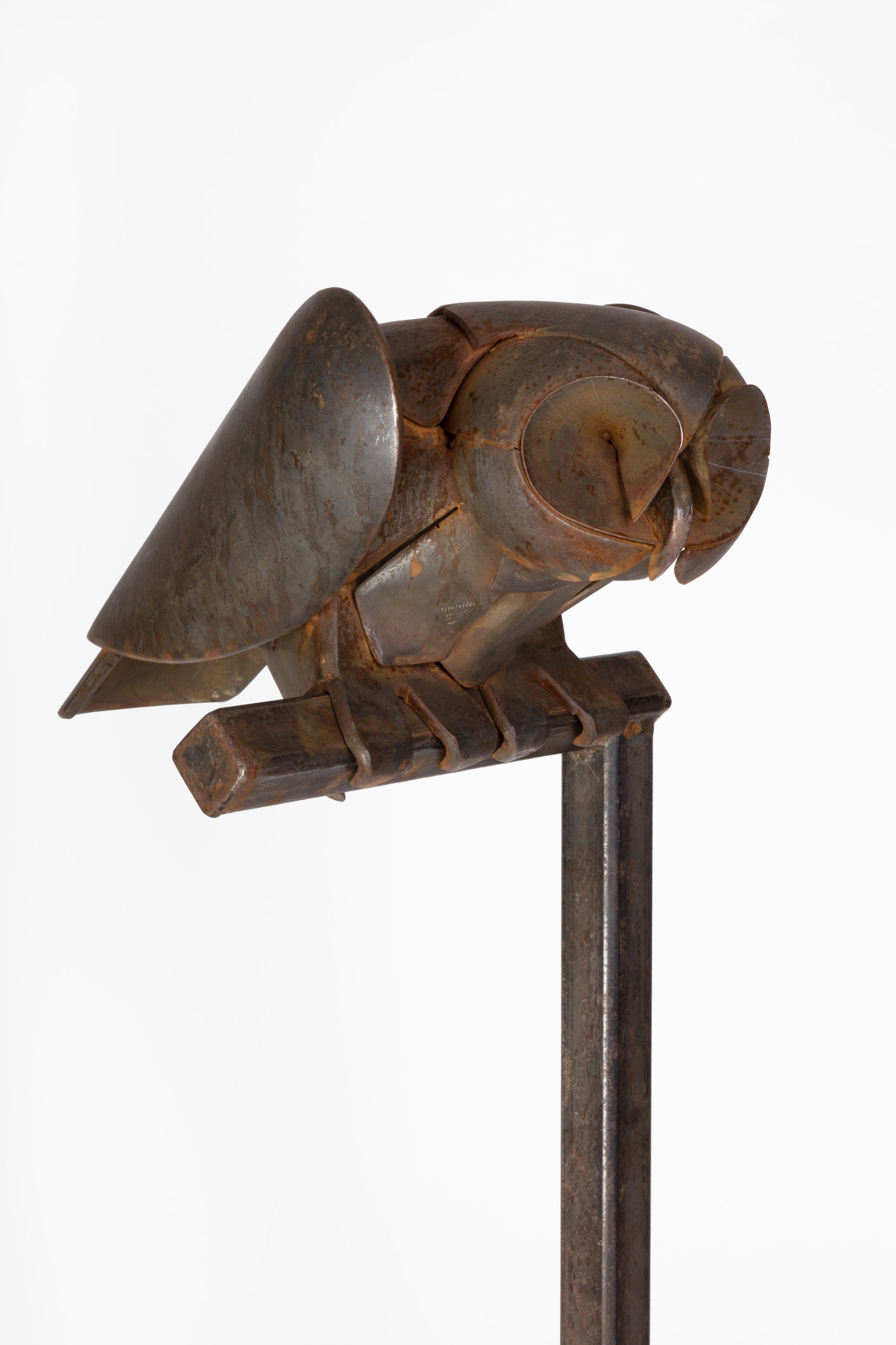 OWL MAQUETTE.