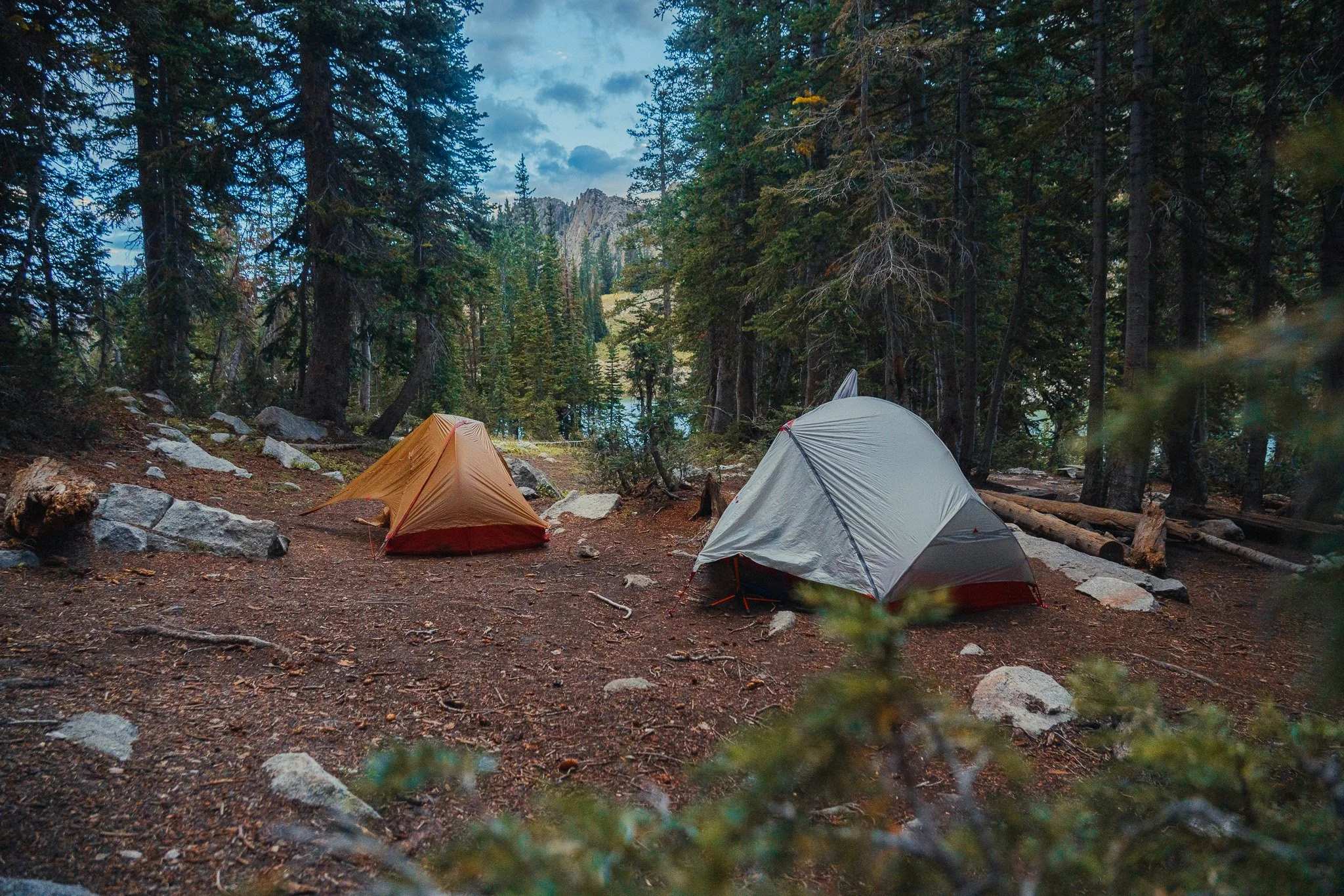 Two tents set up in a forest clearing surrounded by tall pine trees, with a forested mountain in the background.