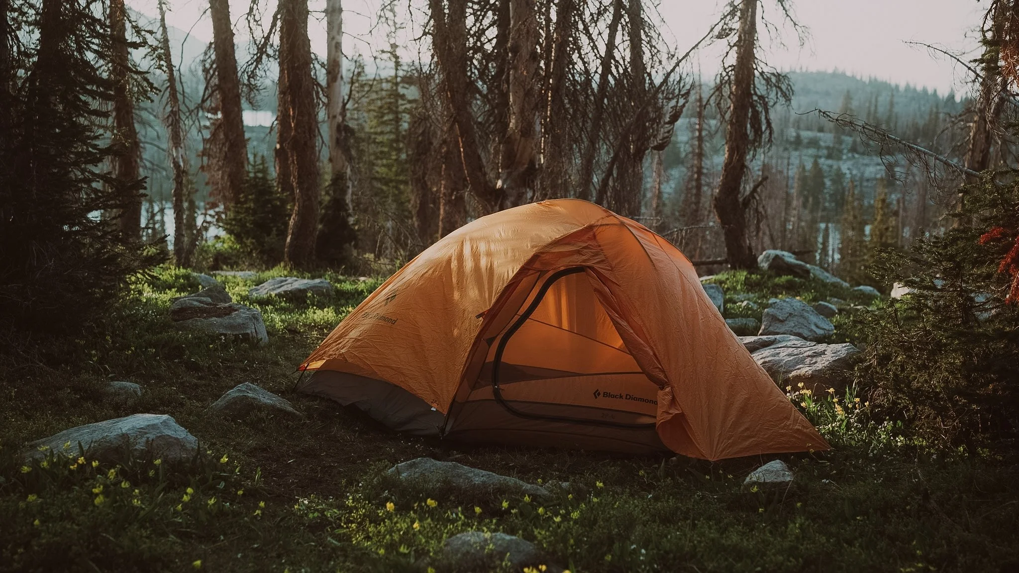 Orange tent set up in a forest clearing surrounded by trees and rocks.