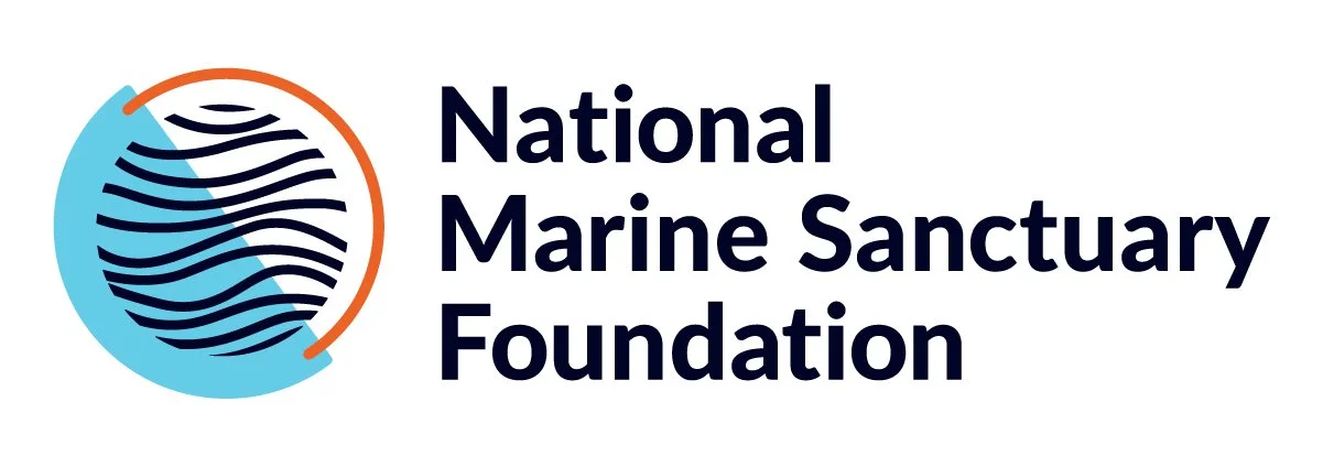 Announcing the 2026 Sanctuary Community Fund Recipients 