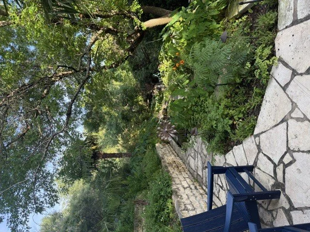 A lush garden with green plants and trees, a stone pathway, and a blue wooden bench.