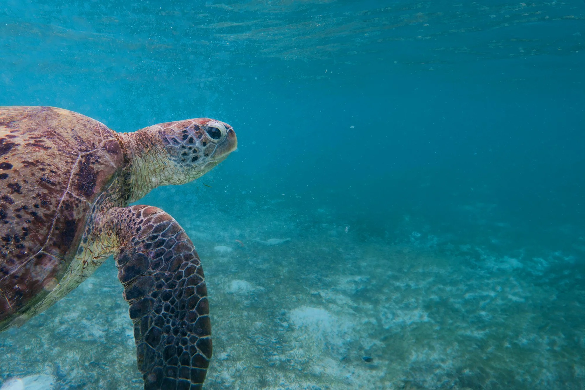 The Power of Place and Why Long-Term Presence & Partnerships Matter More Than Ever