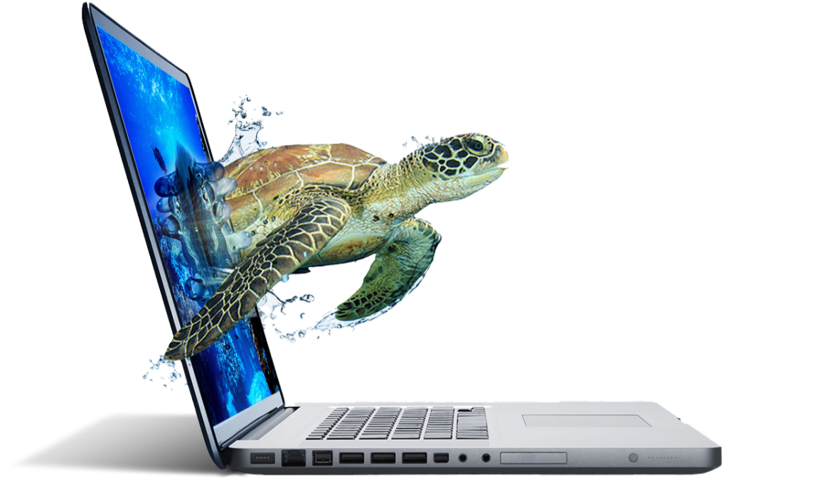 A laptop with a diving turtle emerging from the screen into the real world.