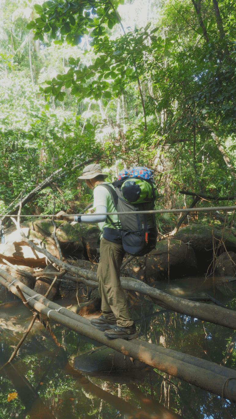 Person hiking on a makeshift bamboo bridge over a river in a dense jungle, carrying a backpack and wearing a hat.