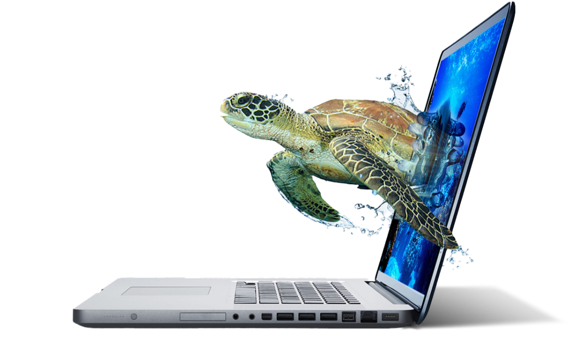 A laptop with a sea turtle emerging from the screen.