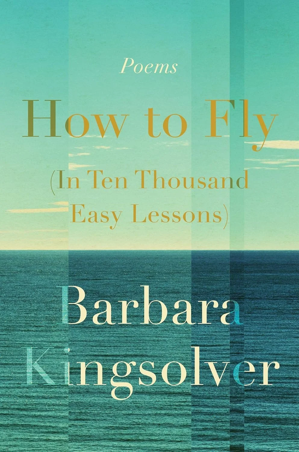 how-to-fly.jpg