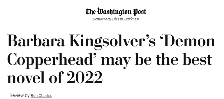 The Washington Post Reviews Demon Copperhead