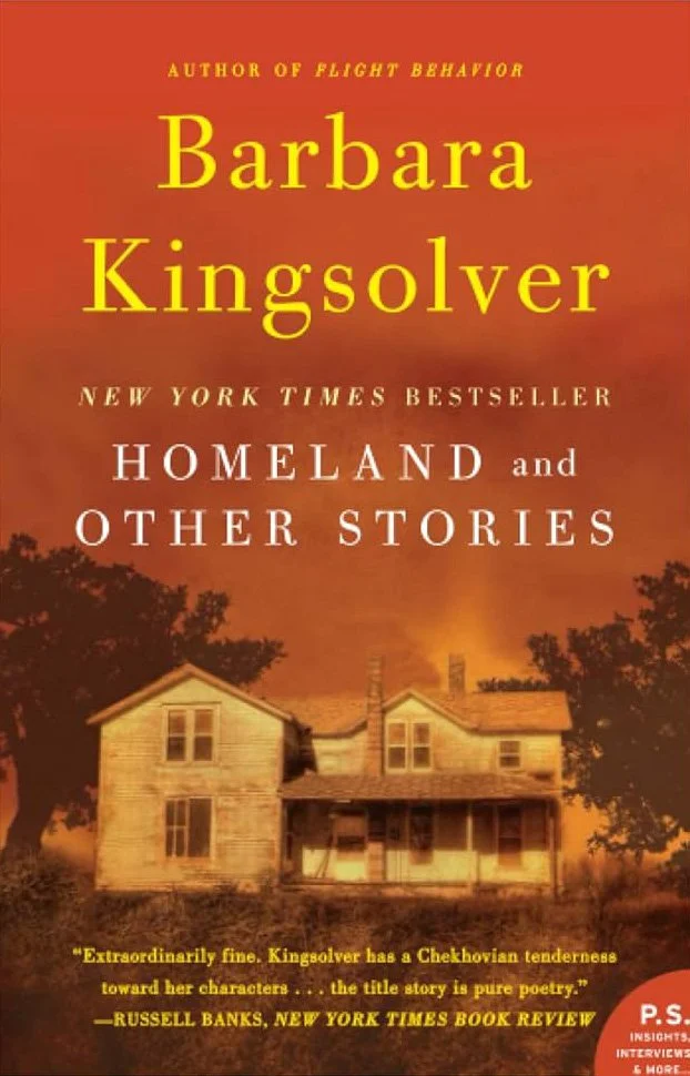 homeland-and-other-stories.jpg