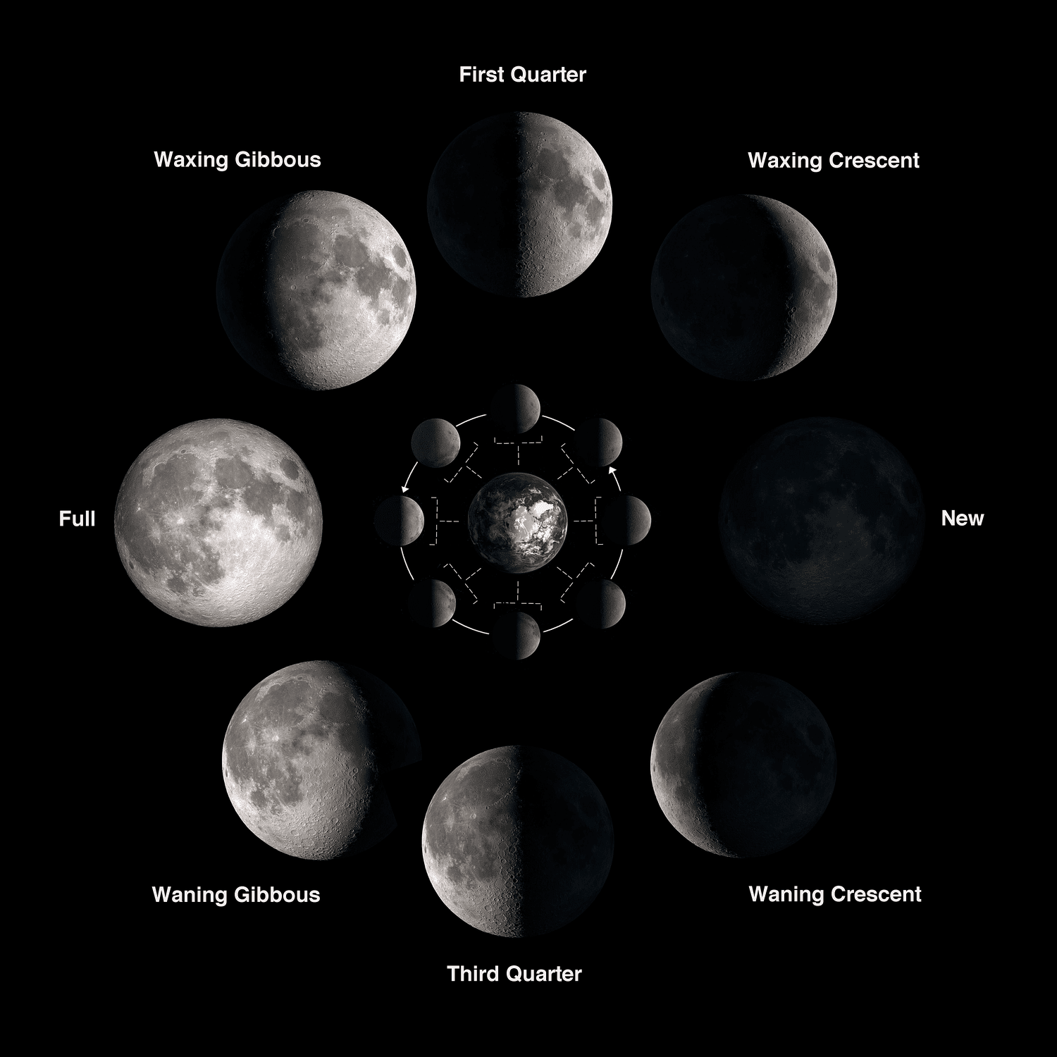 What the Moon Has Been Trying to Teach Me
