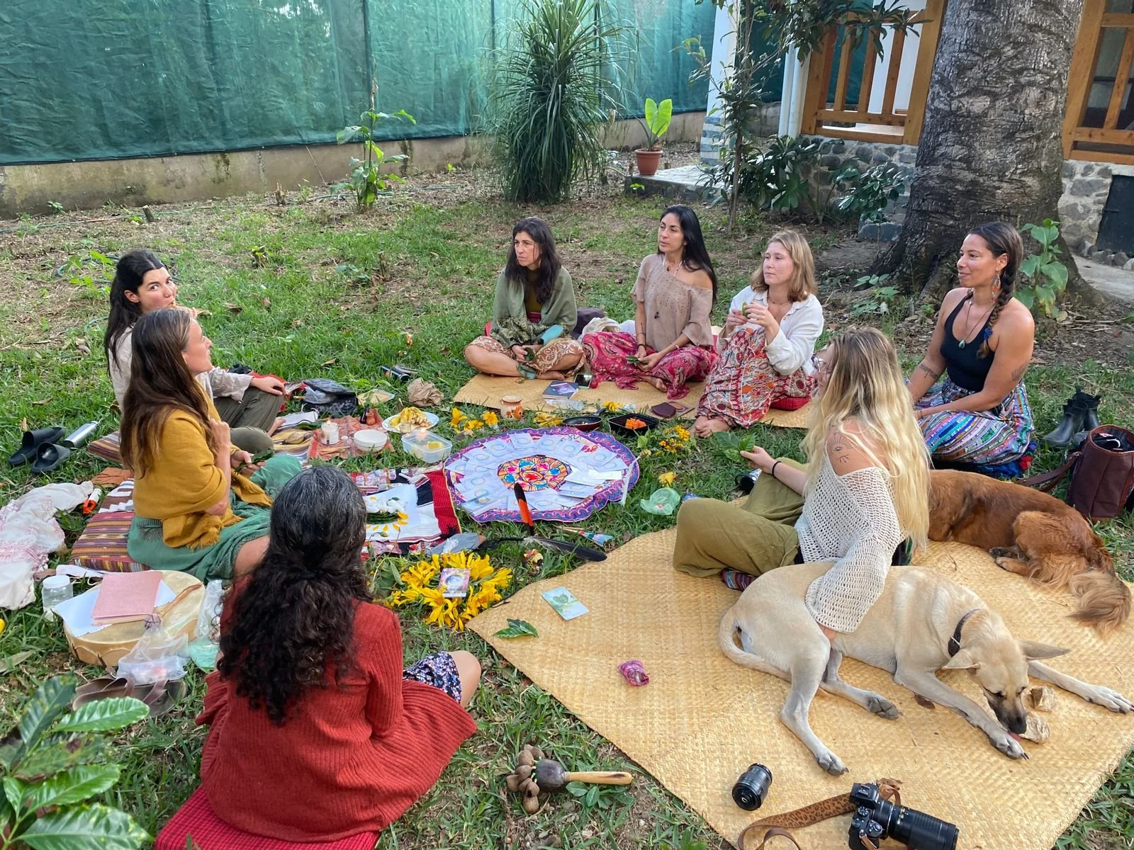 A group of women sitting in a circle on the grass in a backyard, engaging in a spiritual or meditation gathering, with some holding leaves, surrounded by plants, a large tree, and various items including flowers, tarot cards, and cameras. Two dogs ar