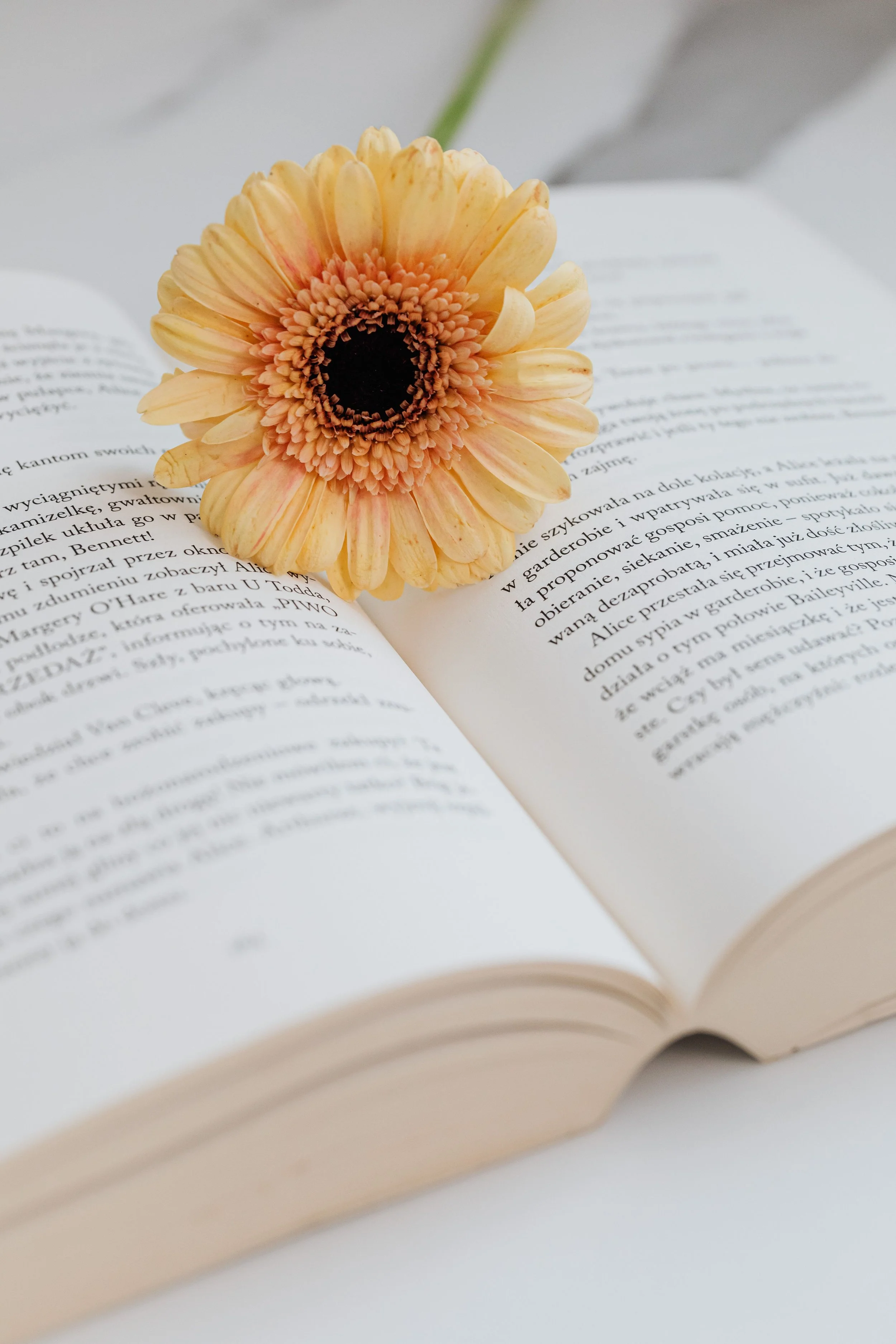 Initial Book Consultation