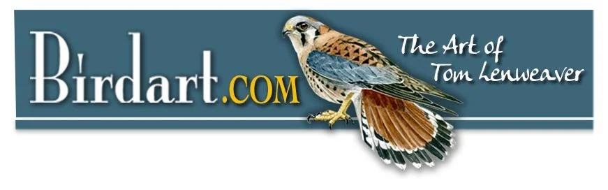 Birdart.com