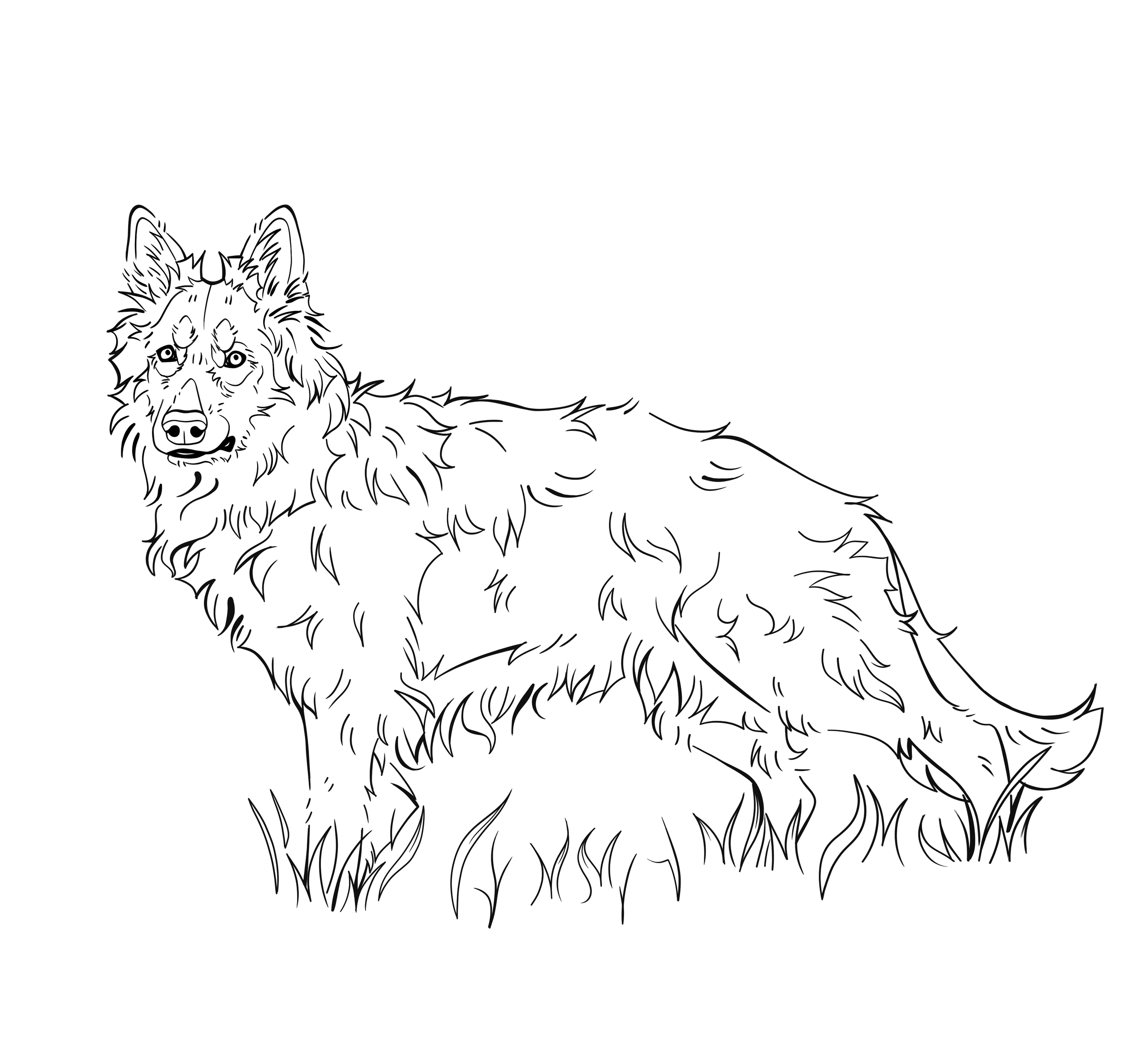 Black and white line drawing of a dog standing in tall grass, looking forward with its mouth slightly open.