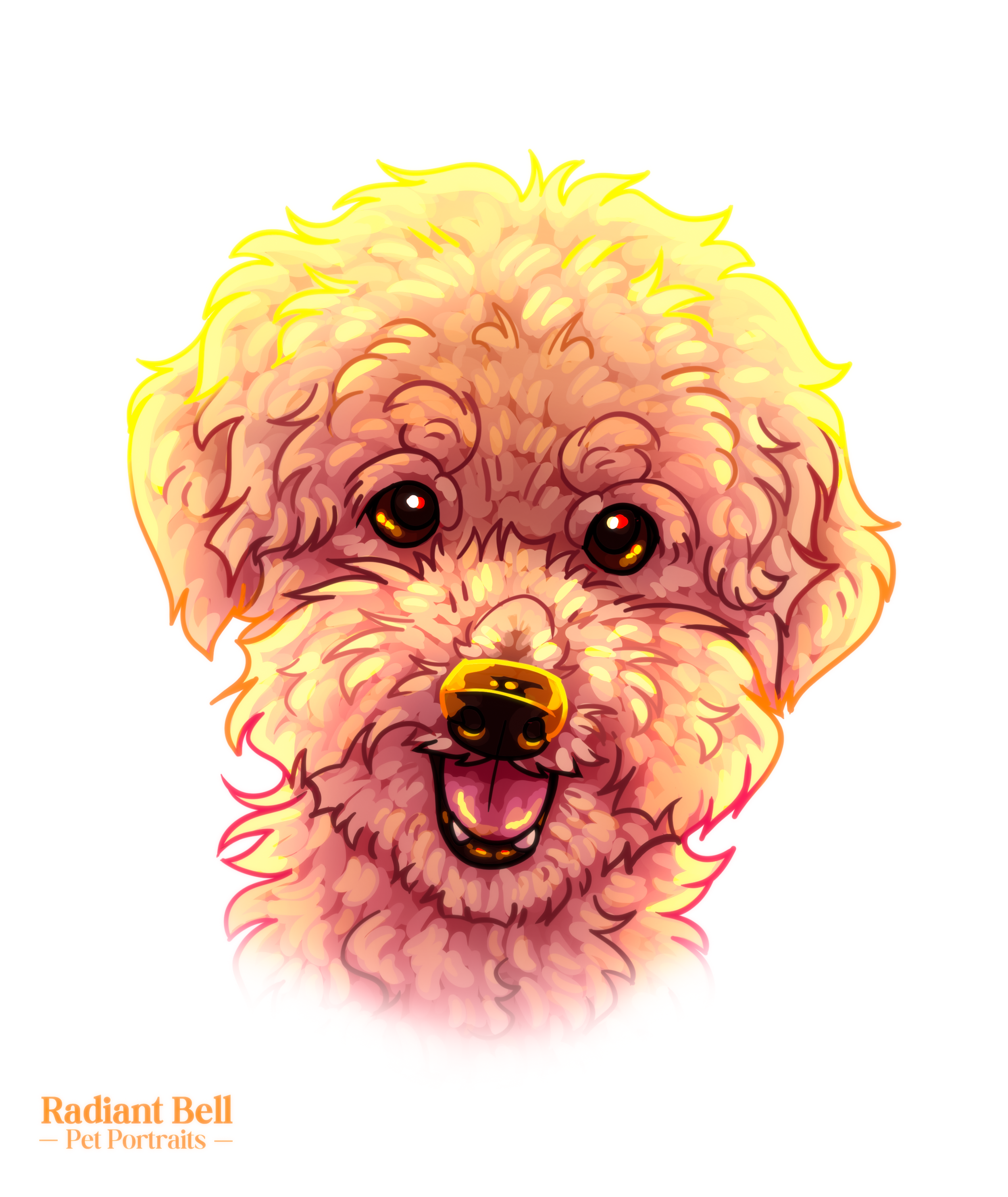 Illustration of a happy, fluffy dog with dark eyes and a black nose, on a white background. Text in the bottom left corner reads 'Radiant Bell - Pet Portraits'.