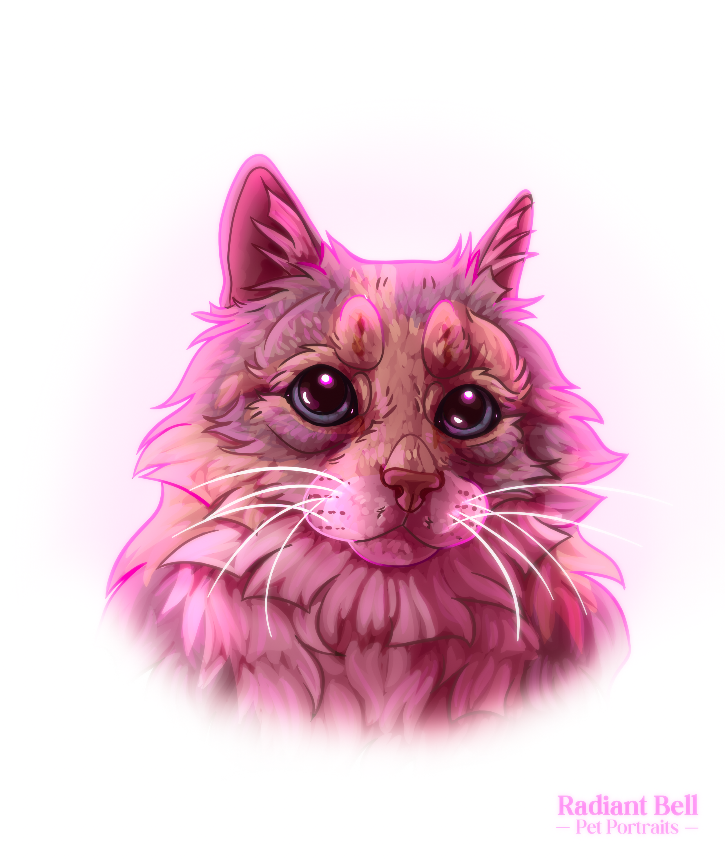 Captaincatt18_PetPortrait_edited.png