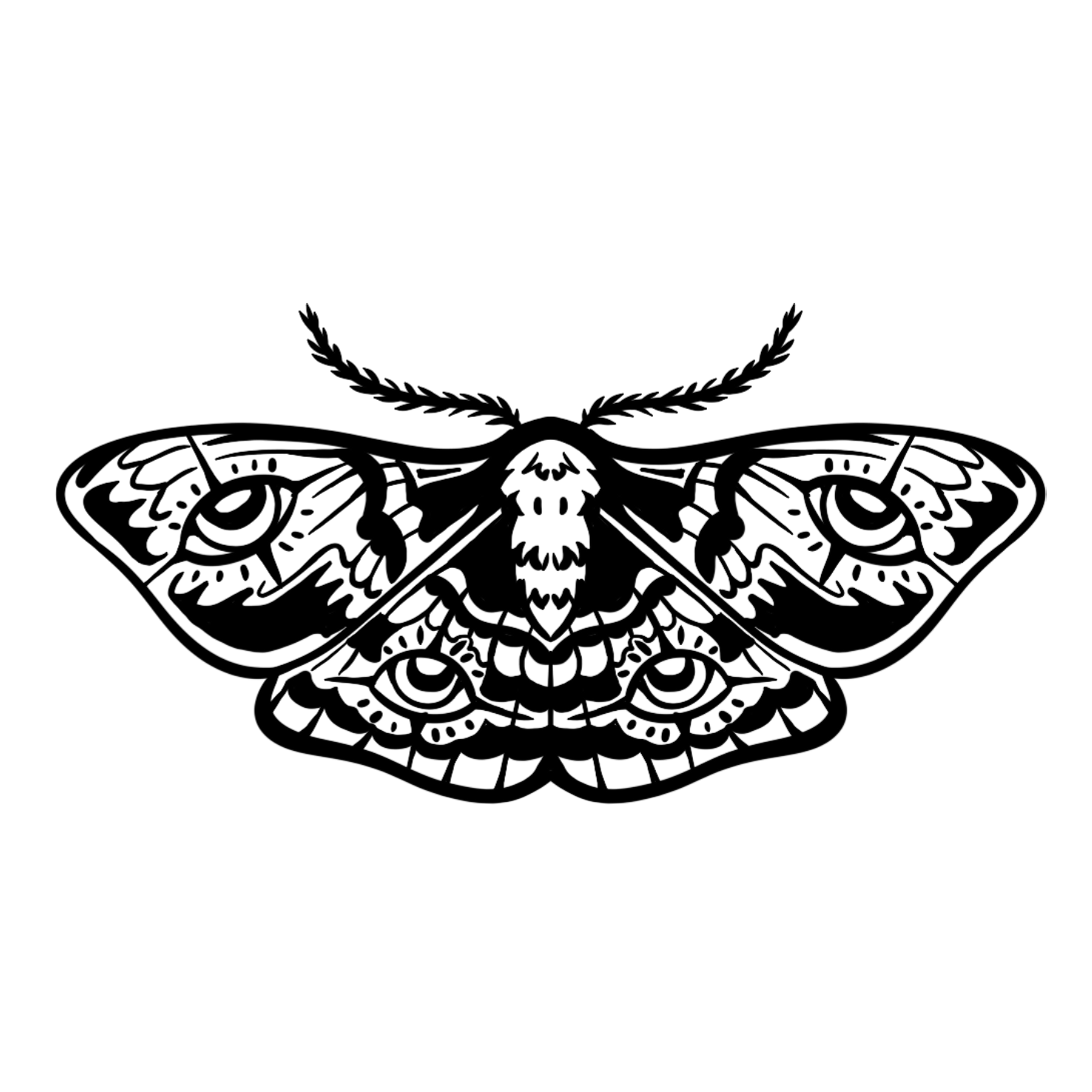 Black and white illustration of a moth with intricate patterns on its wings and eye designs, facing forward.