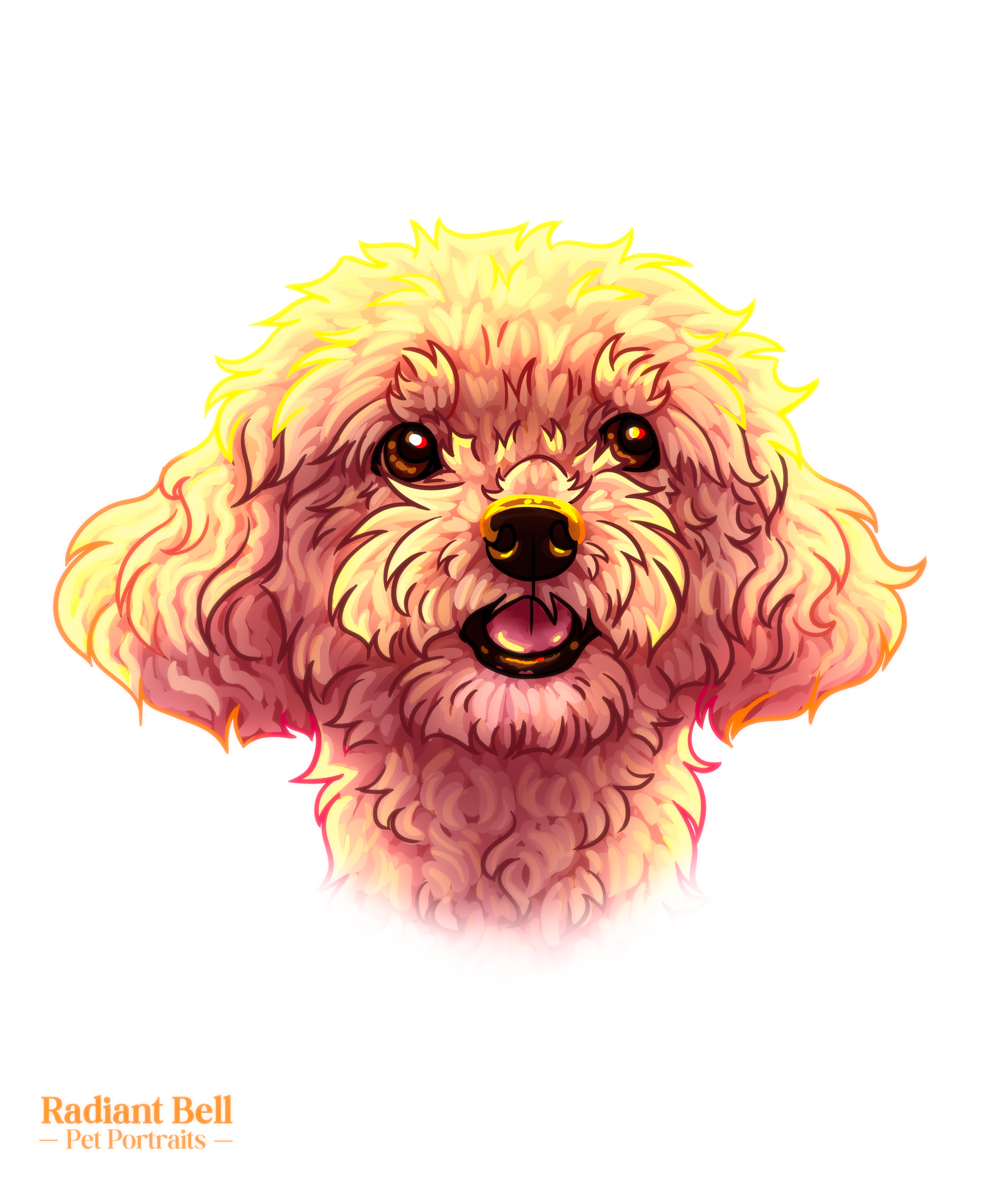 Digital illustration of a fluffy dog with curly fur, big dark eyes, a black nose, and an open mouth, with a white background and the text 'Radiant Bell - Pet Portraits' in orange at the bottom left.