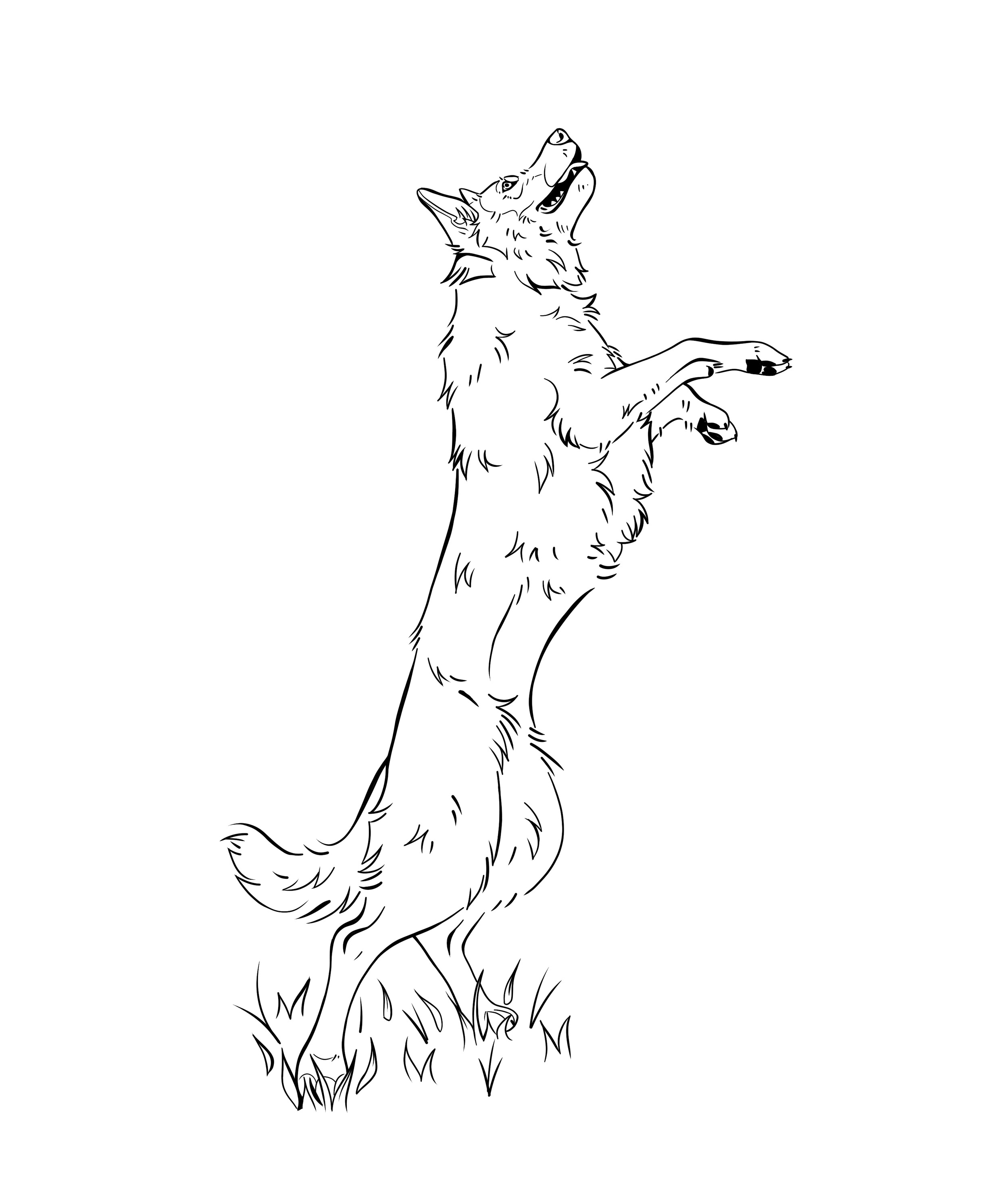 Line drawing of a dog standing on its hind legs with front paws raised, tail curved, and mouth open, as if barking or howling, on grass.