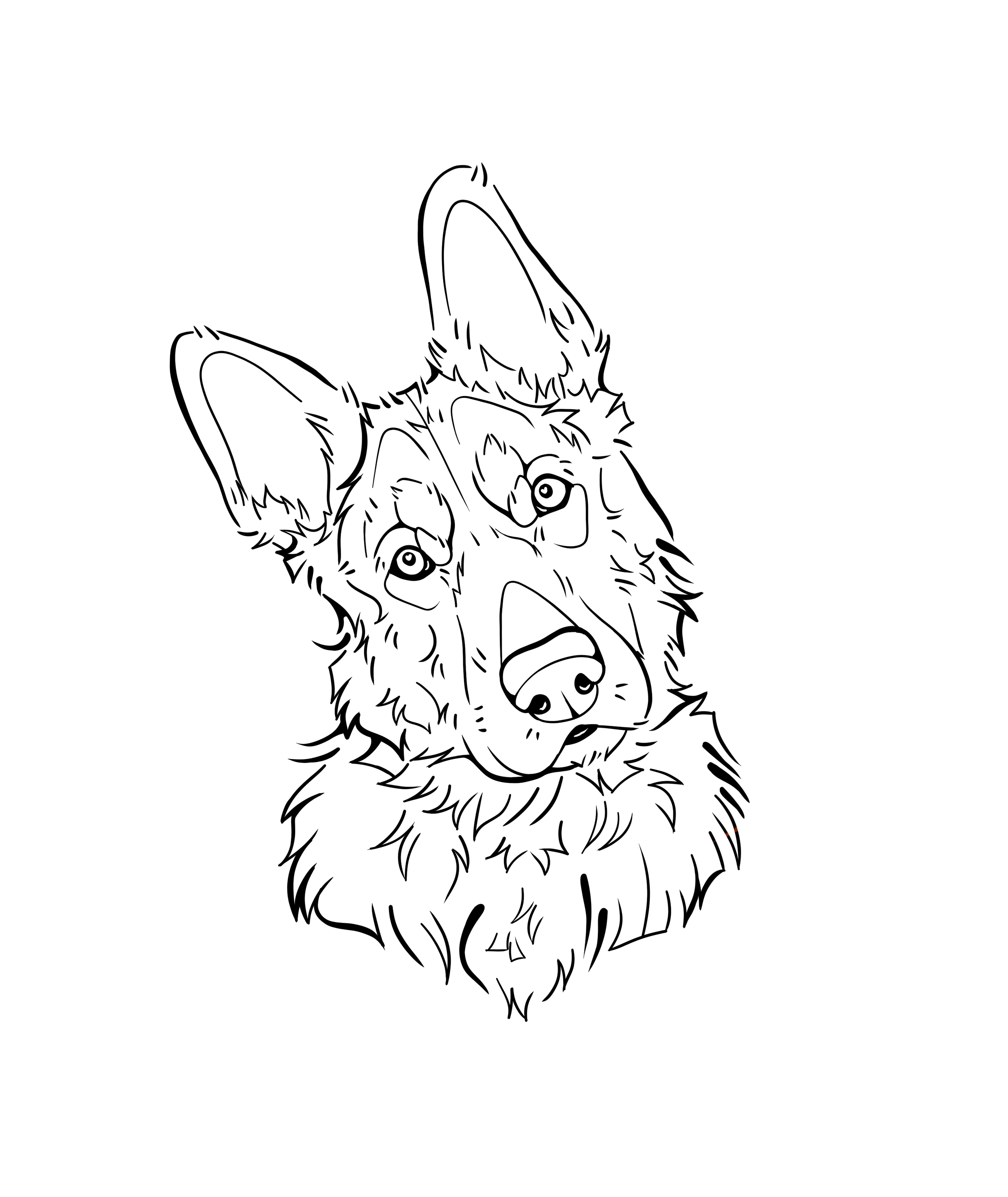 Line drawing of a dog with its head tilted, showing detailed fur and facial features.