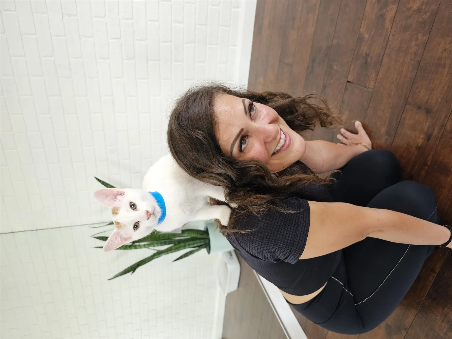 Cats & Animals photograph