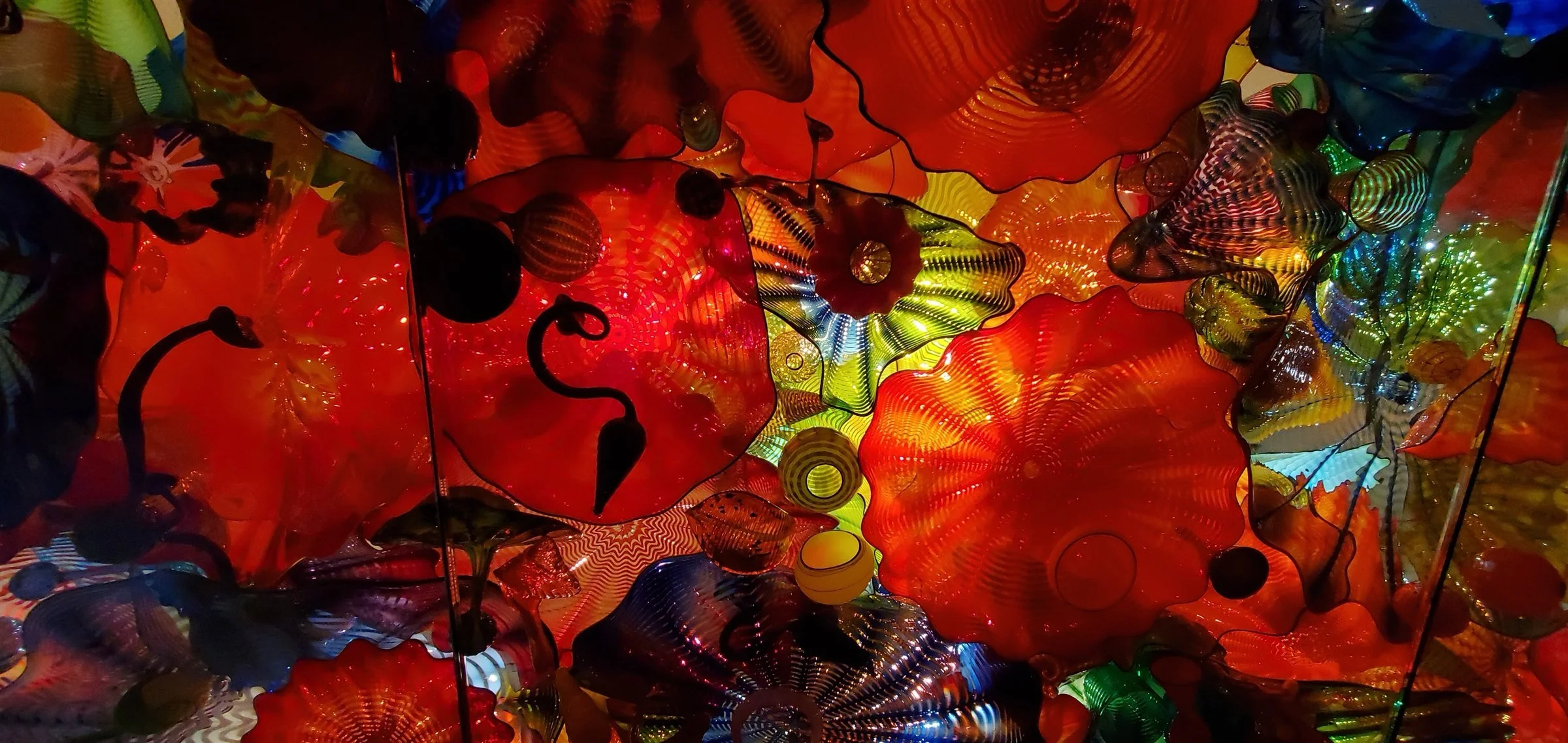 20191117_144312.jpg