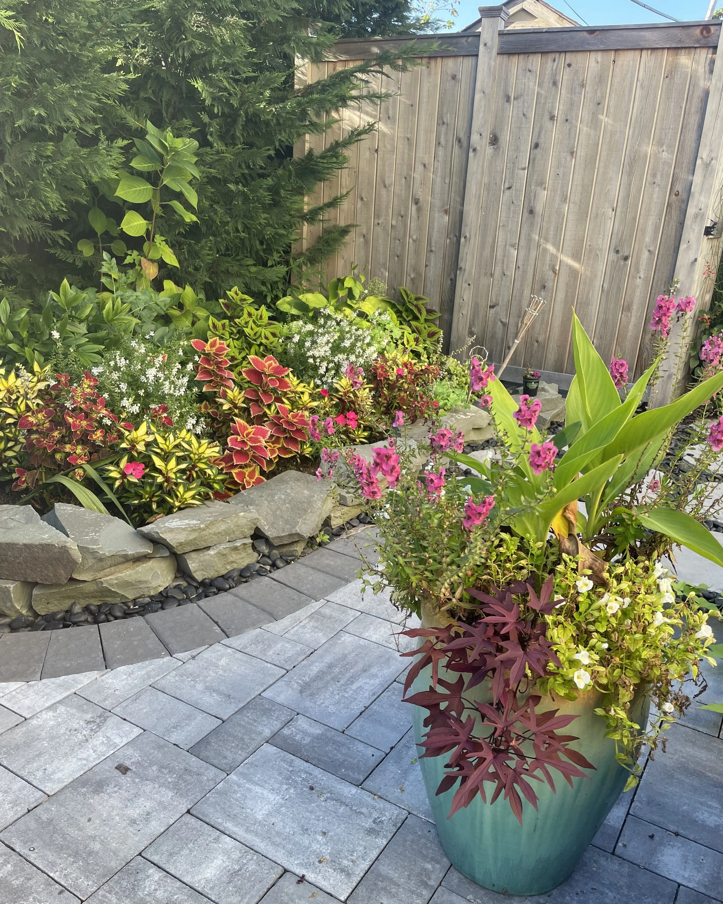 Colorful cottage garden with rock wall and vibrant color pop planter pot — landscape design by Chasky, Hewlett NY