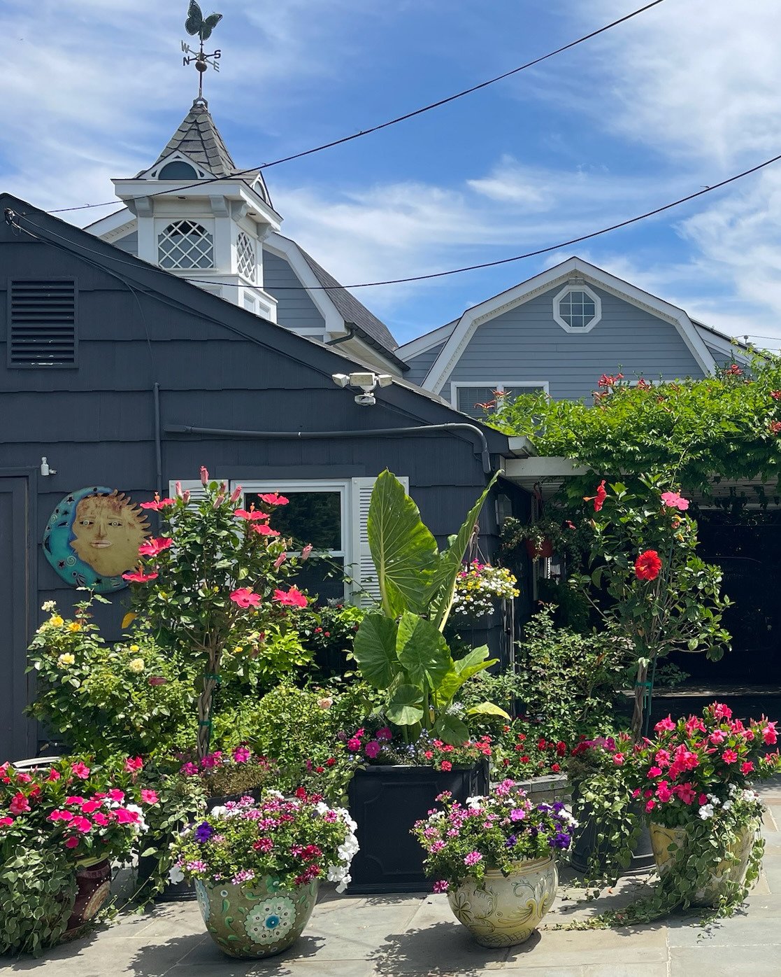 Colorful container garden with vibrant color pop planter pot arrangement — landscape design by Chasky, Atlantic Beach NY