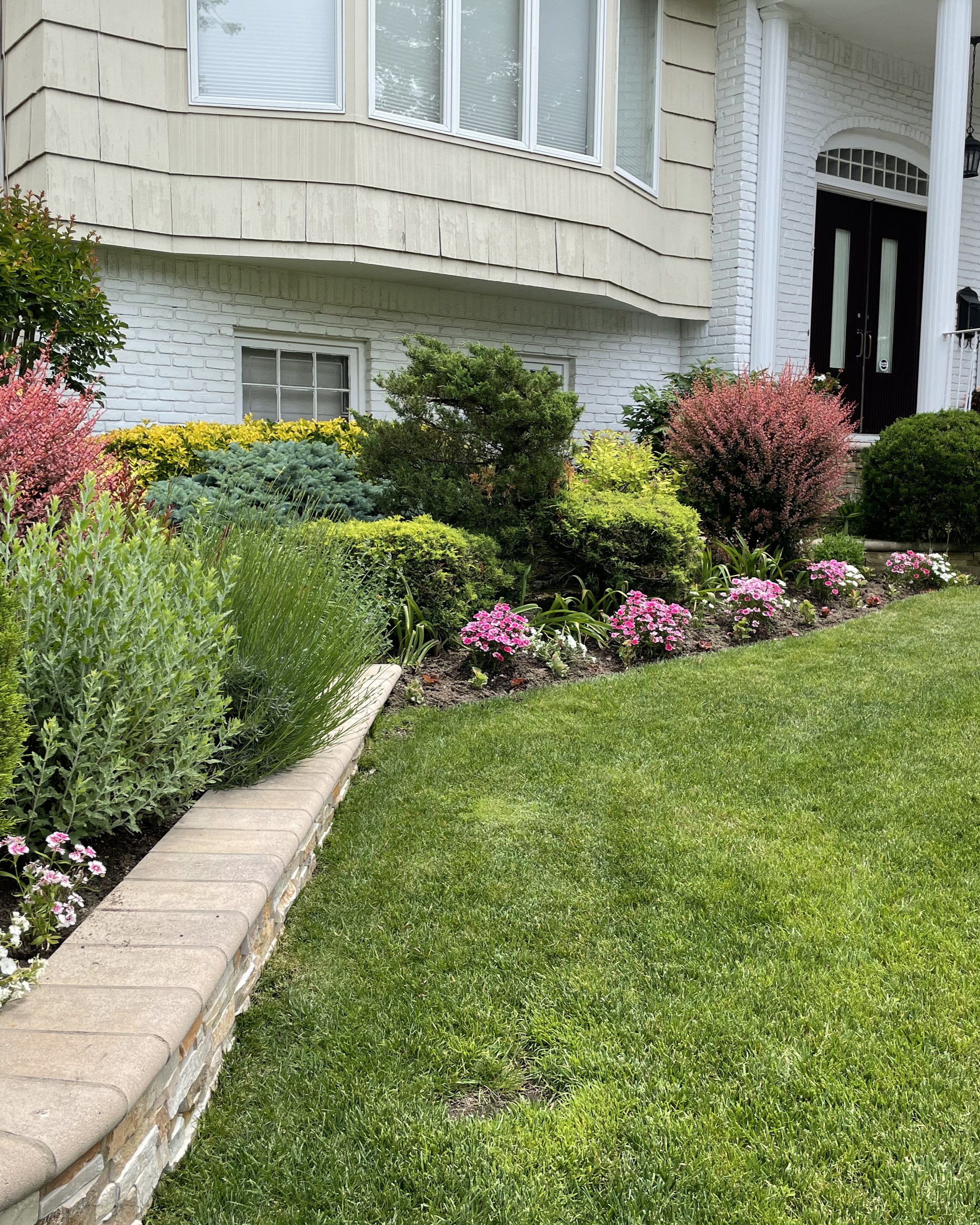 Manicured foundation planting with shaped bushes and colorful flowers creating polished curb appeal on front yard — landscape design by Chasky, Woodmere NY