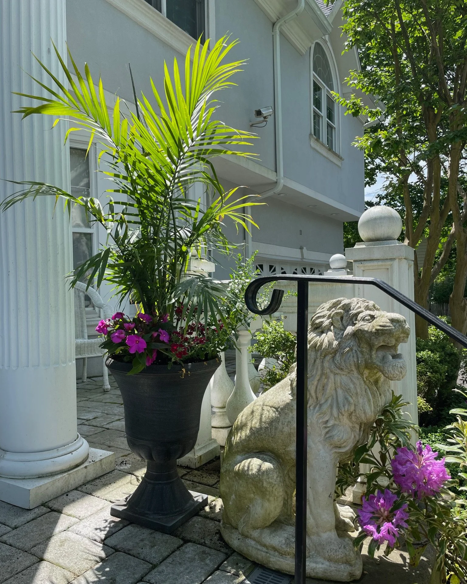 Tall planter pot with vibrant purple flowers and tropical palm creating a bold color pop entrance — landscape design by Chasky, Lawrence NY