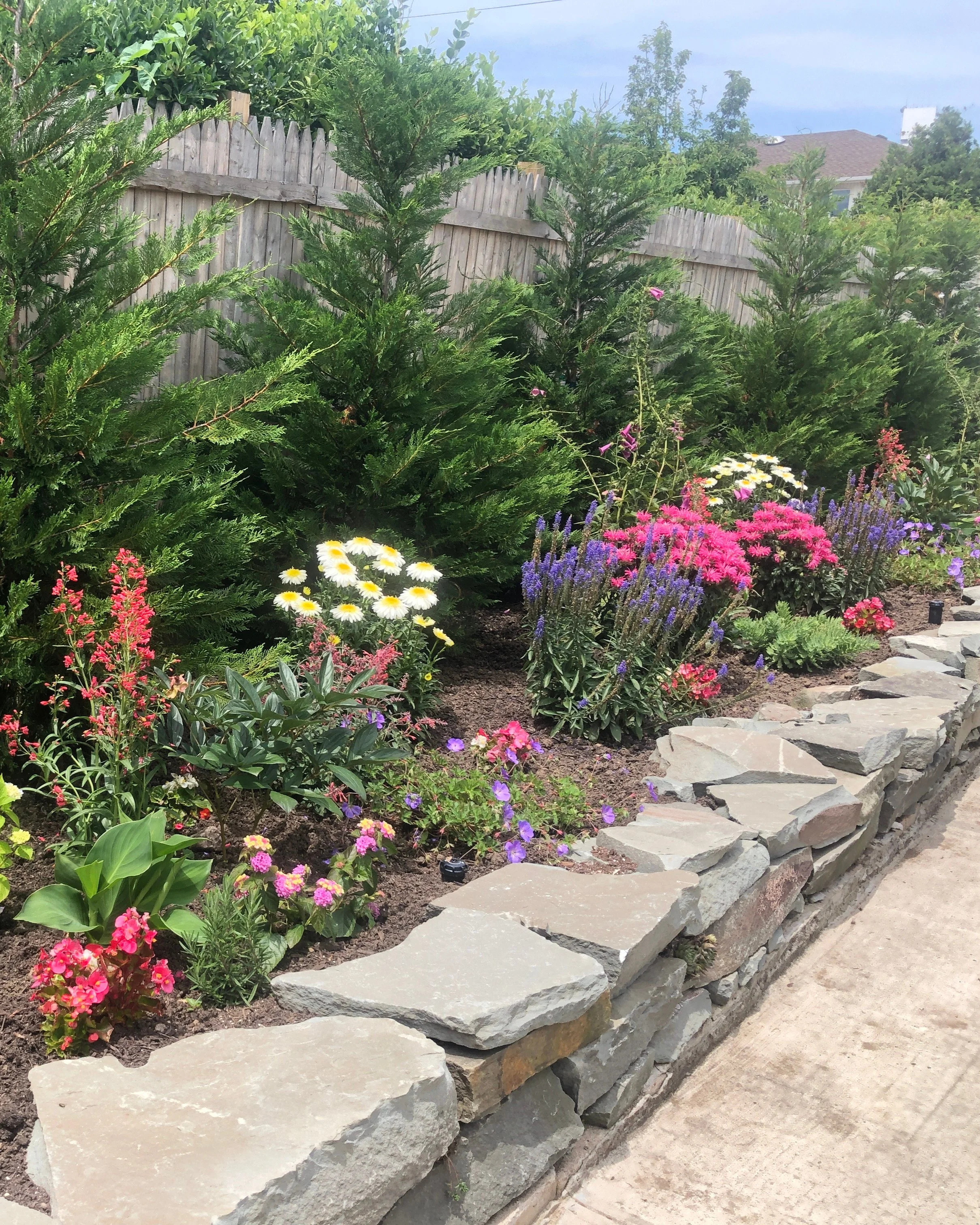 Backyard oasis garden with bench surrounded by hydrangeas and lacecap hydrangeas — landscape design by Chasky, Atlantic Beach NY