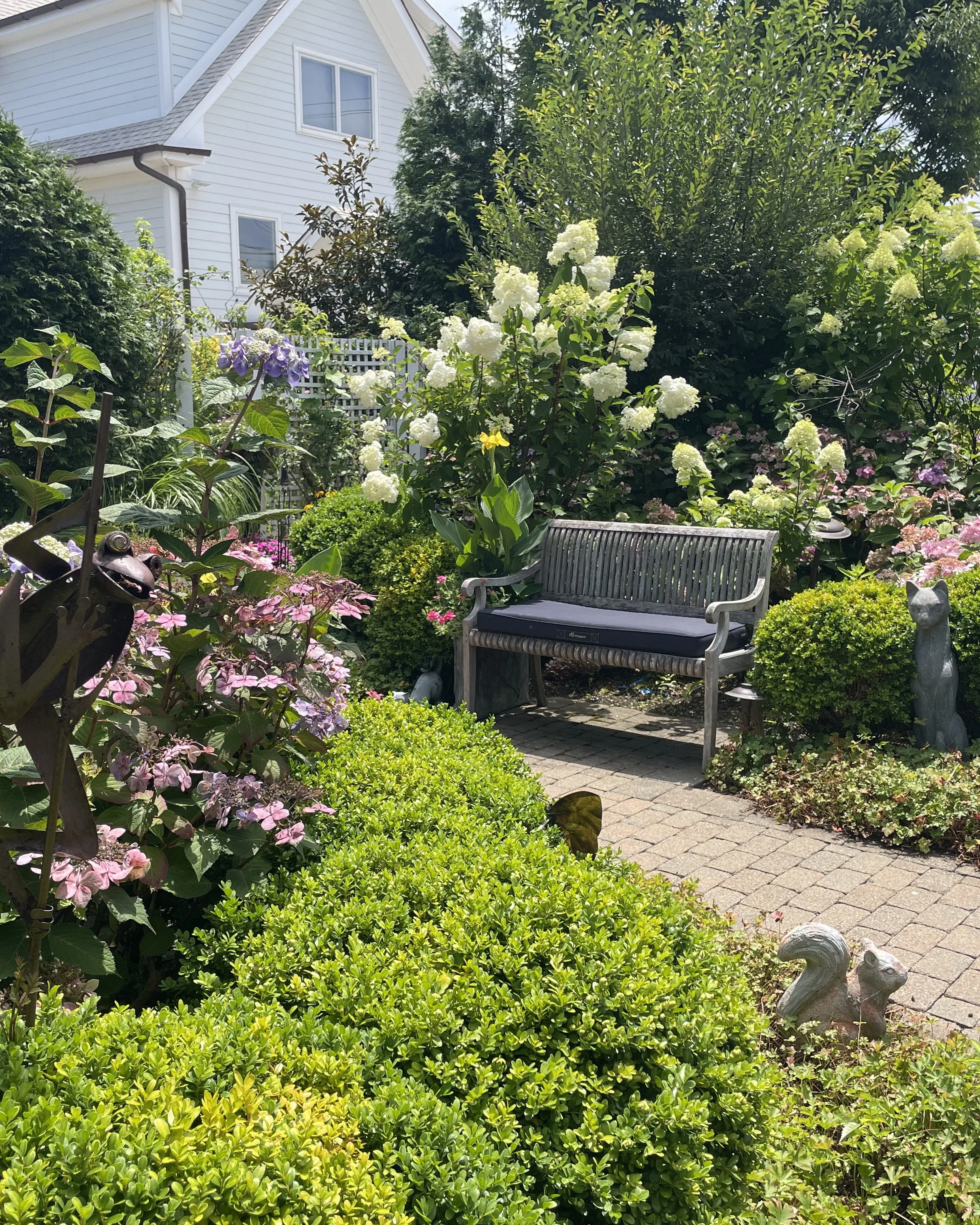 Backyard oasis garden with bench surrounded by hydrangeas and lacecap hydrangeas — landscape design by Chasky, Atlantic Beach NY