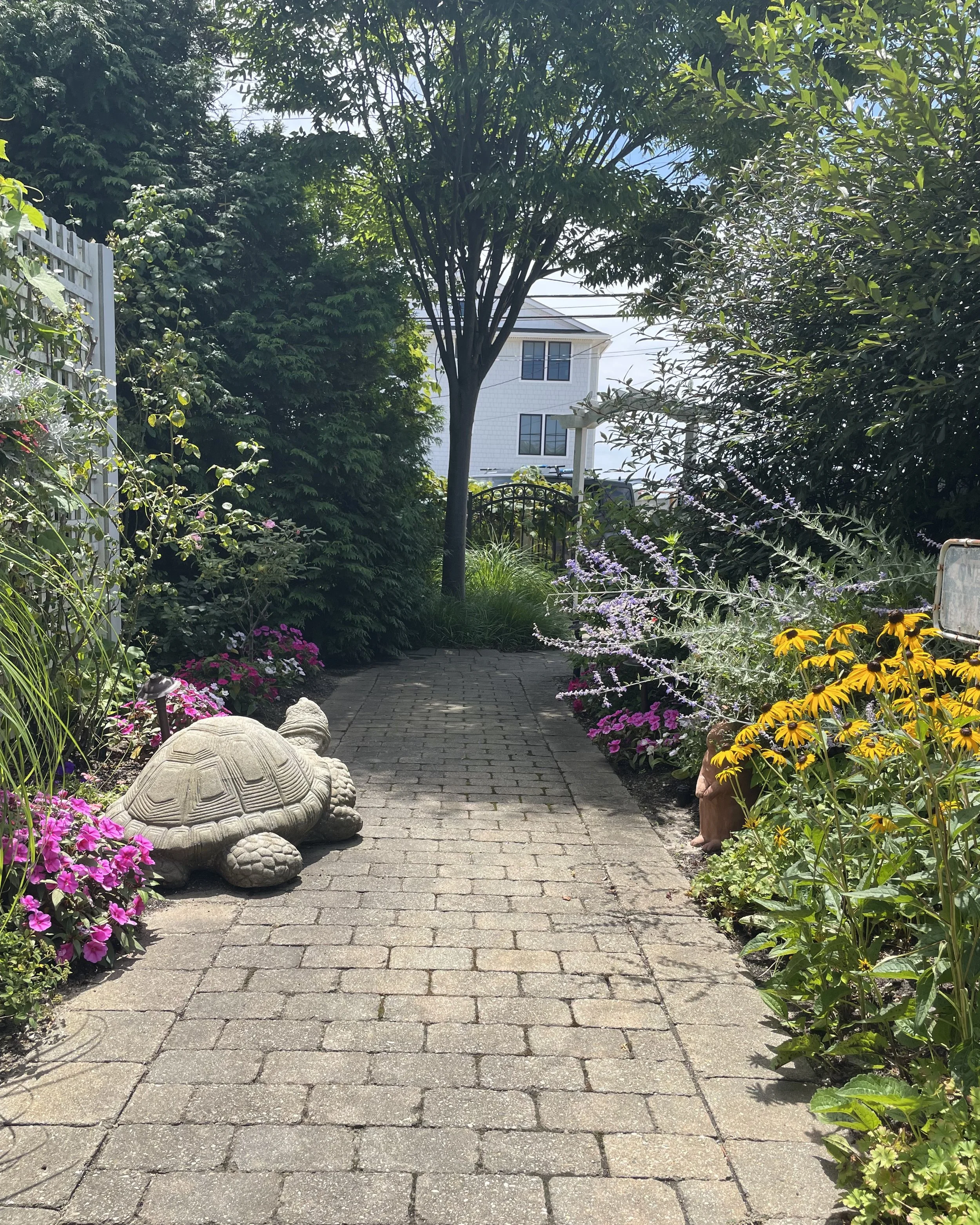 Romantic landscaped pathway bordered with black-eyed susans, lavender and impatiens creating a colorful garden walkway — landscape design by Chasky, Cedarhurst NY