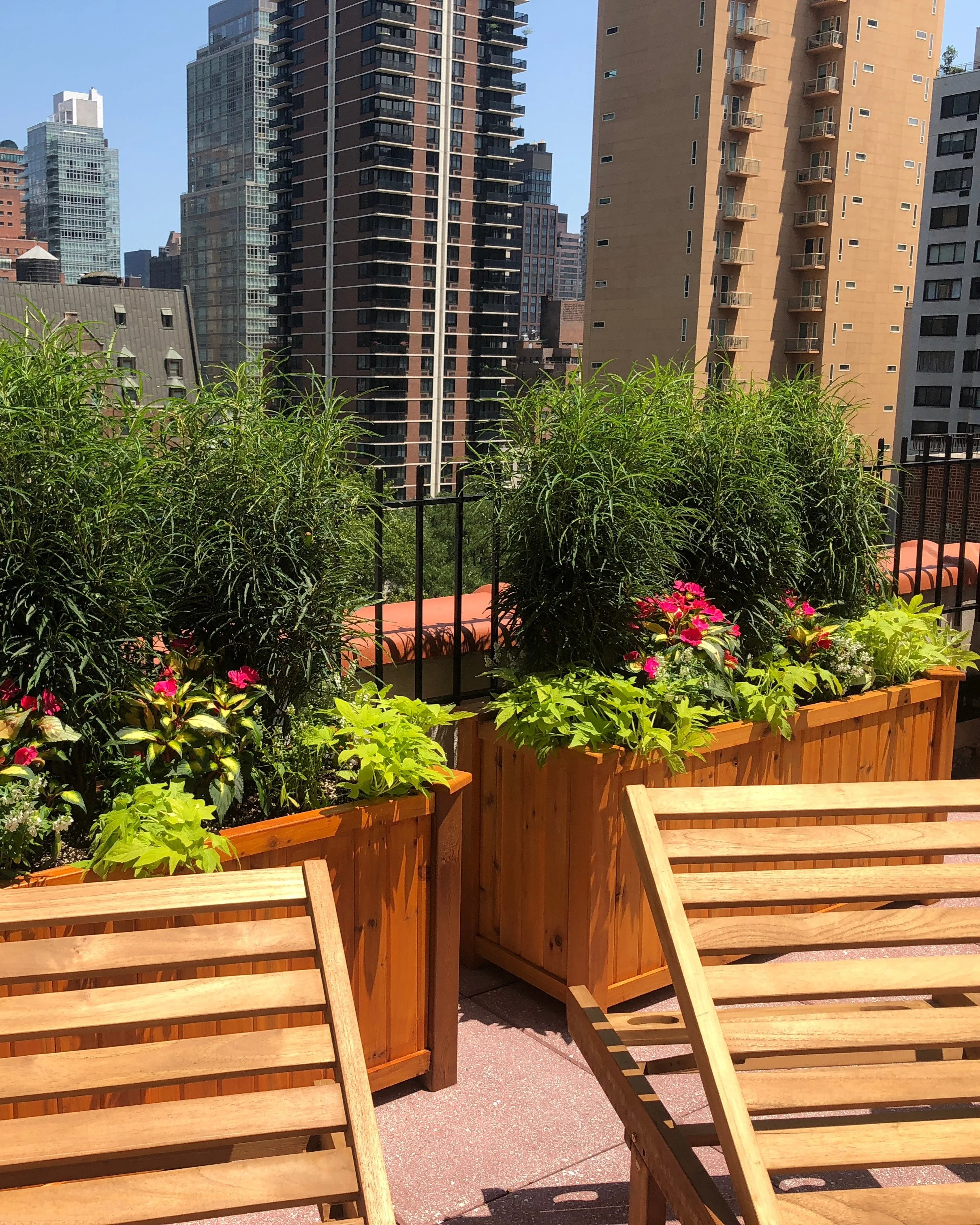 Rooftop garden privacy planter boxes creating a lush green outdoor oasis against NYC skyline — Chasky Landscape Design