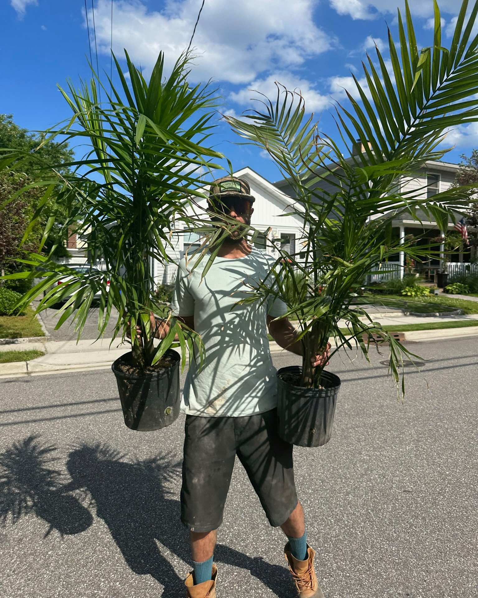Leslie Chasky, professional landscape designer holding tropical majesty palms — serving Nassau County NY including Atlantic Beach, Long Beach, and the Five Towns