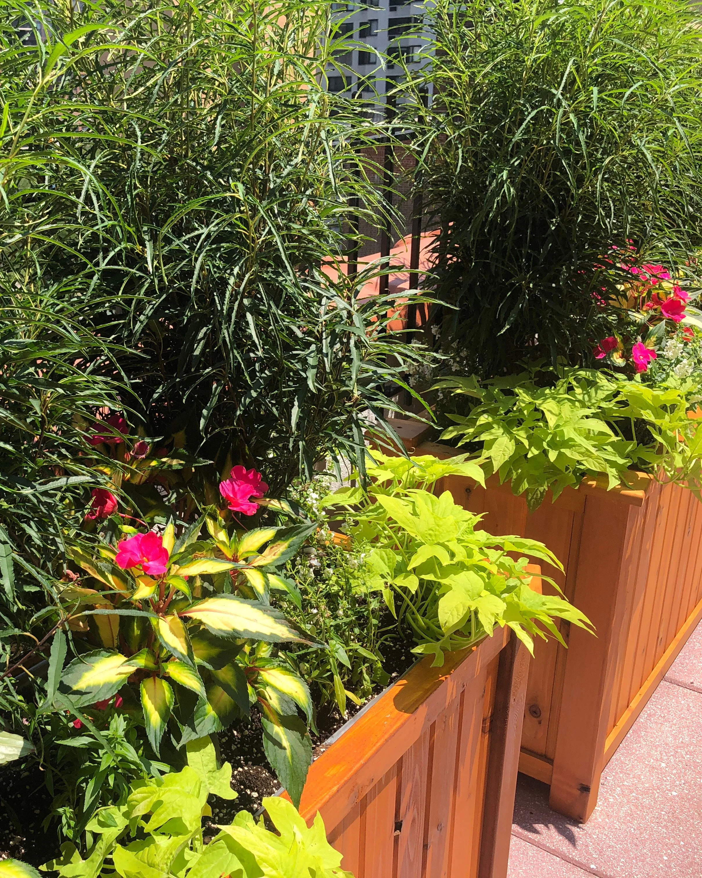 Custom rooftop garden with planter boxes and colorful flowers creating a lush urban outdoor space — Chasky Landscape Design, NYC