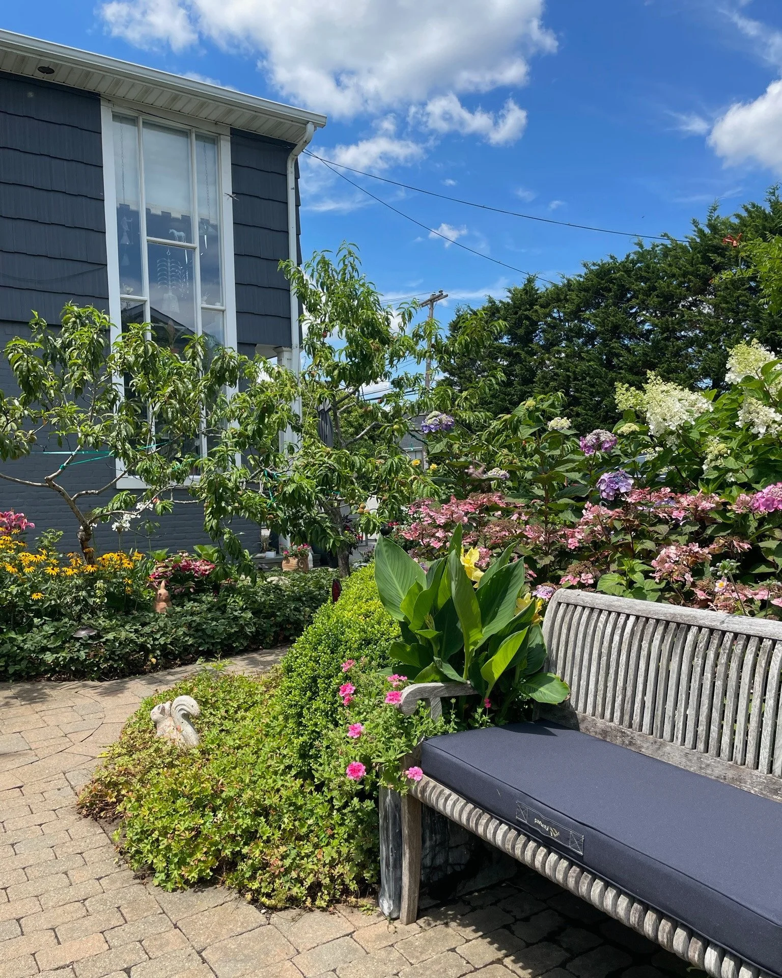 Lush backyard oasis garden with bench surrounded by black-eyed susans and hydrangeas — landscape design by Chasky, Atlantic Beach NY