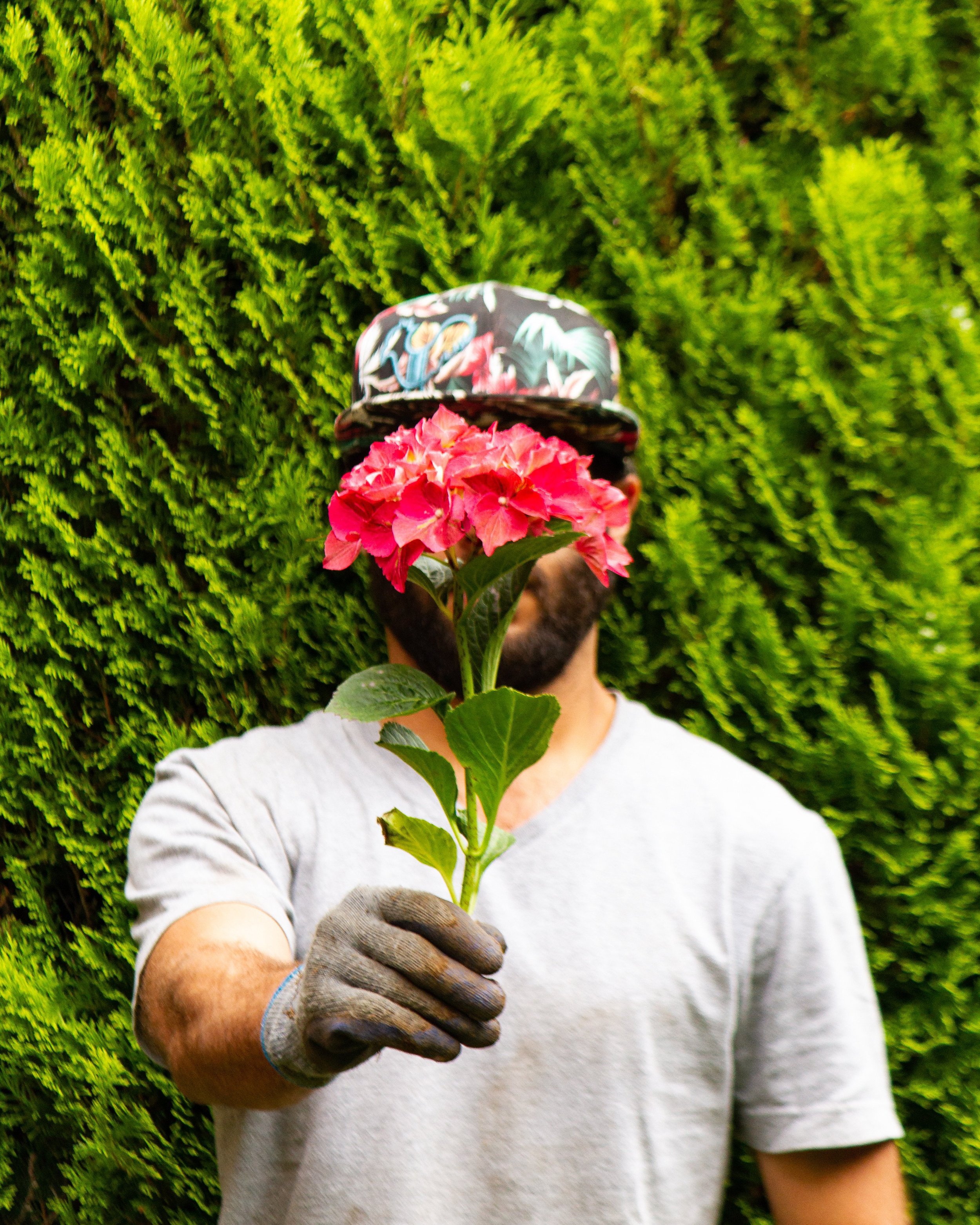 Leslie Chasky, professional landscape designer holding a rose wearing gardening gloves — Chasky Landscape Design, Nassau County NY