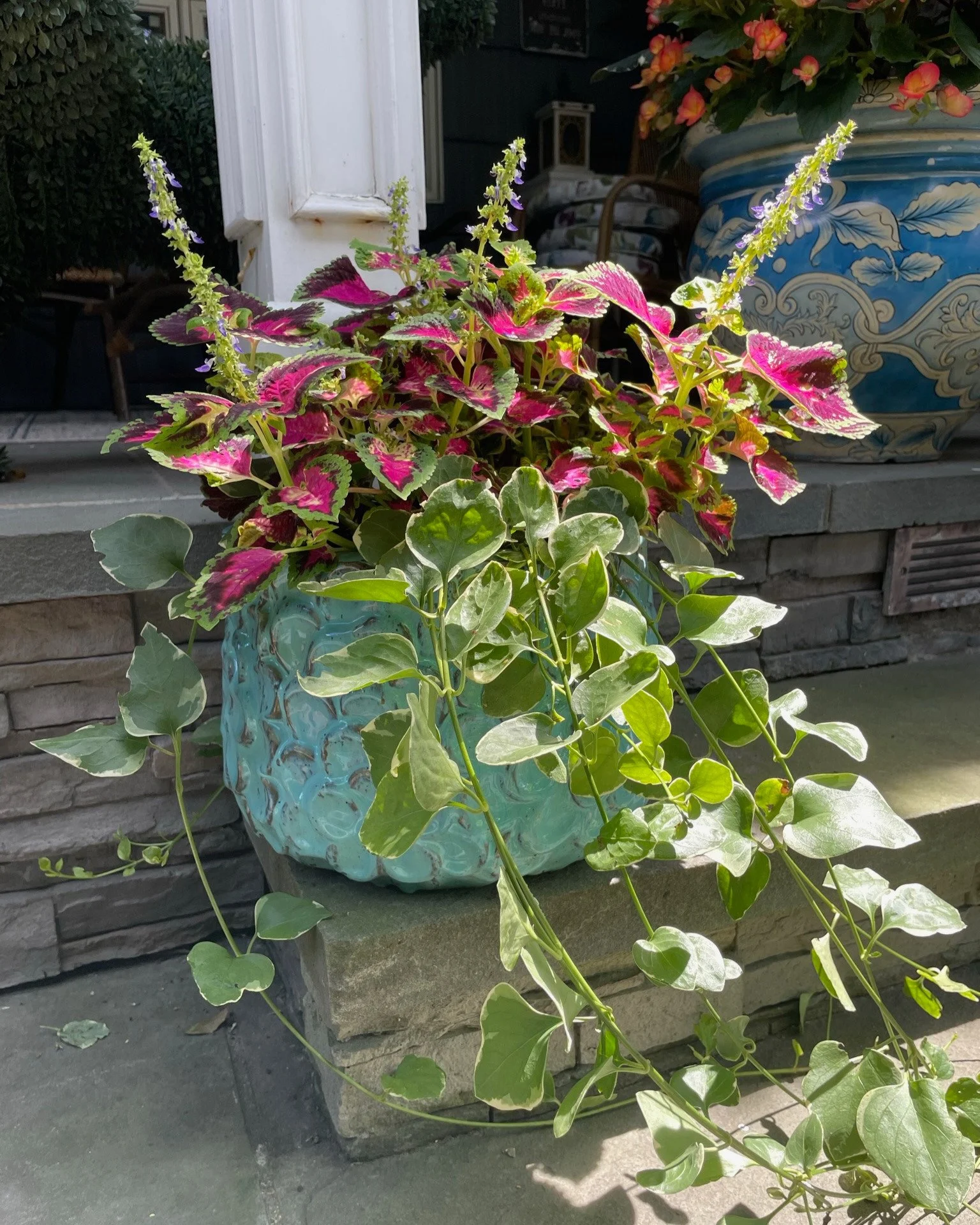 Tropical beachy planter pot design with vibrant coastal colors creating a relaxed outdoor feel — landscape design by Chasky, Atlantic Beach NY