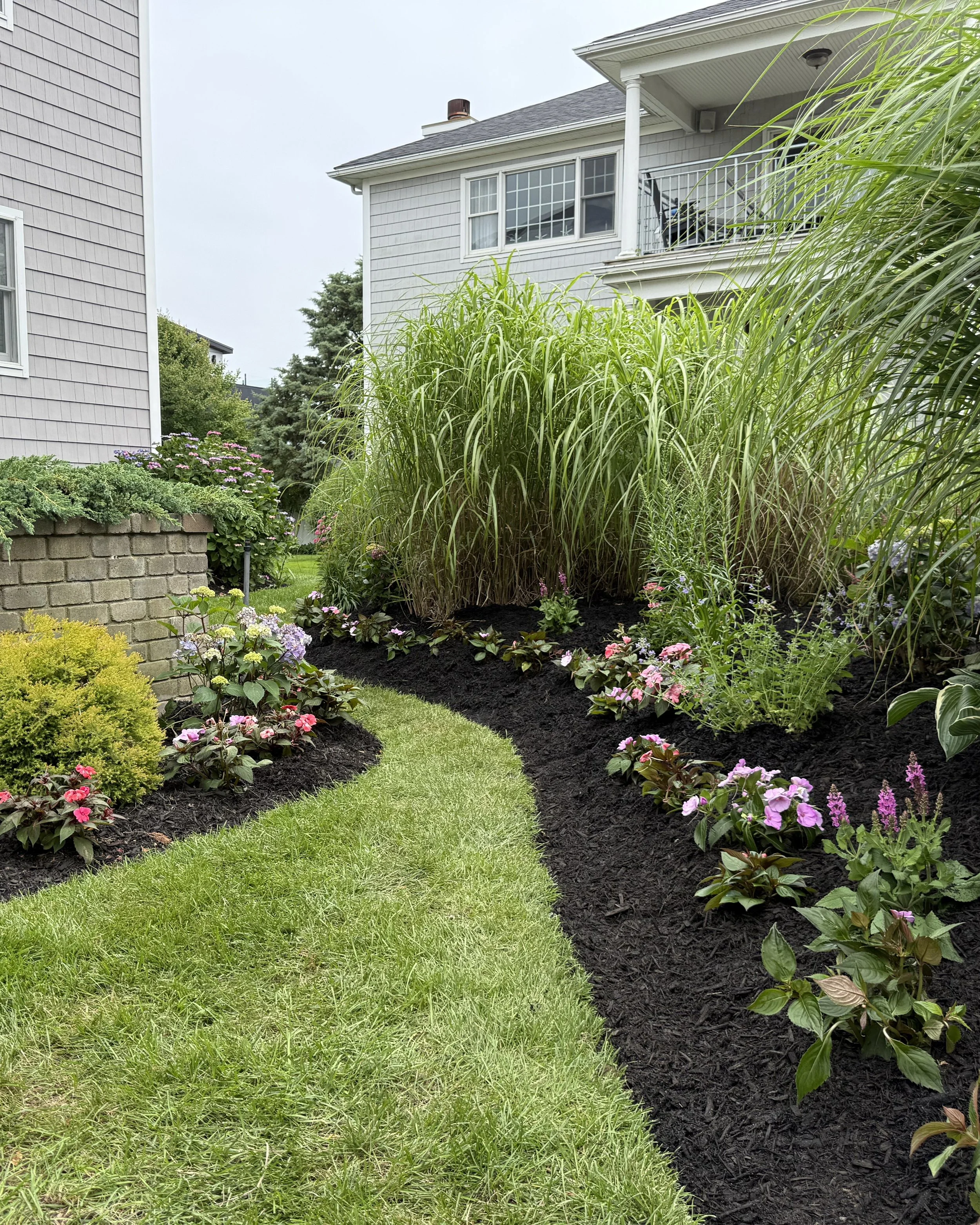 Manicured front yard with beach grass and impatiens creating a polished coastal curb appeal — landscape design by Chasky, Atlantic Beach NY
