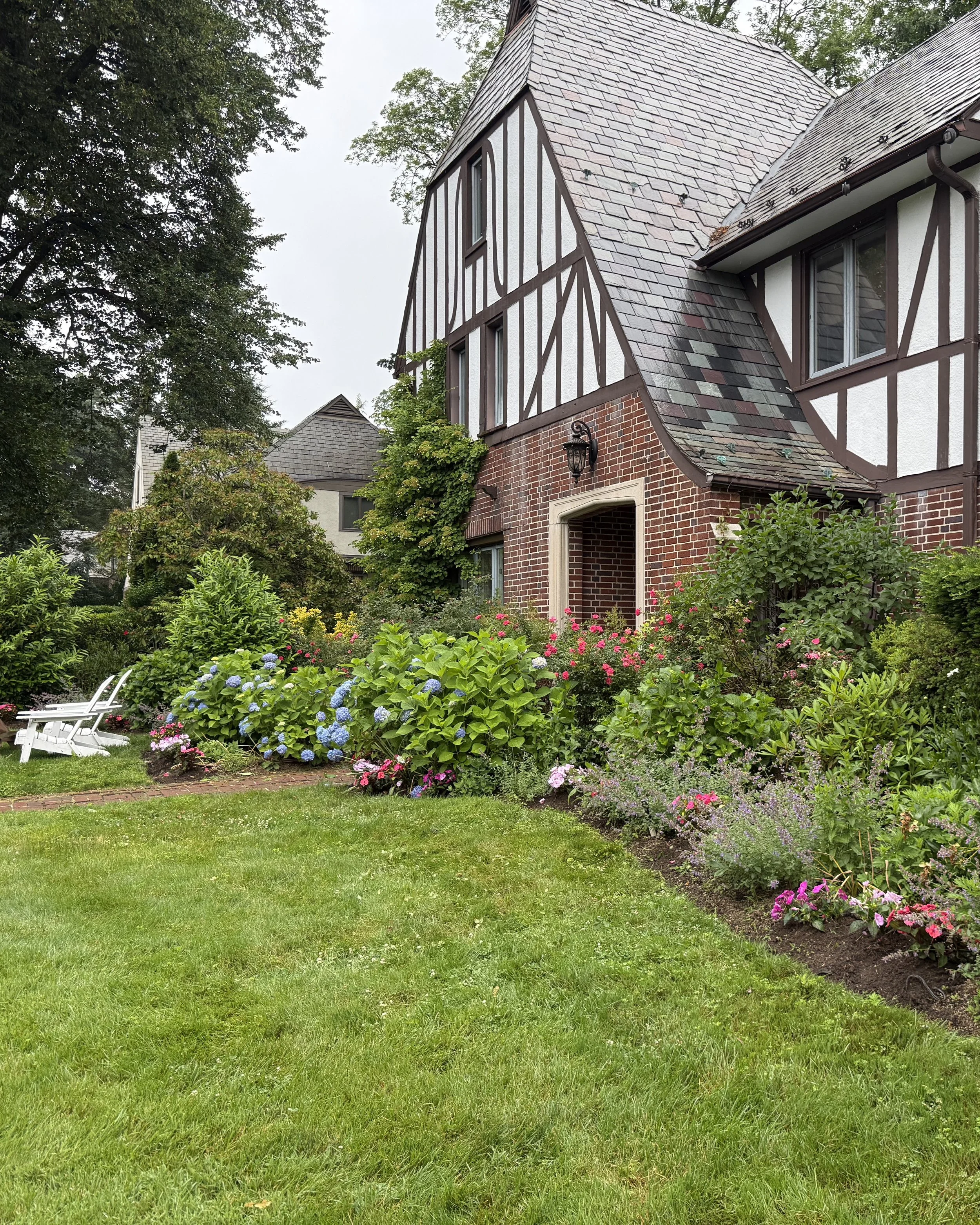 Natural foundation planting with climbing ivy, hydrangeas and impatiens on Tudor home backyard — landscape design by Chasky, New Rochelle NY