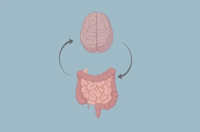 Gut-Brain Axis