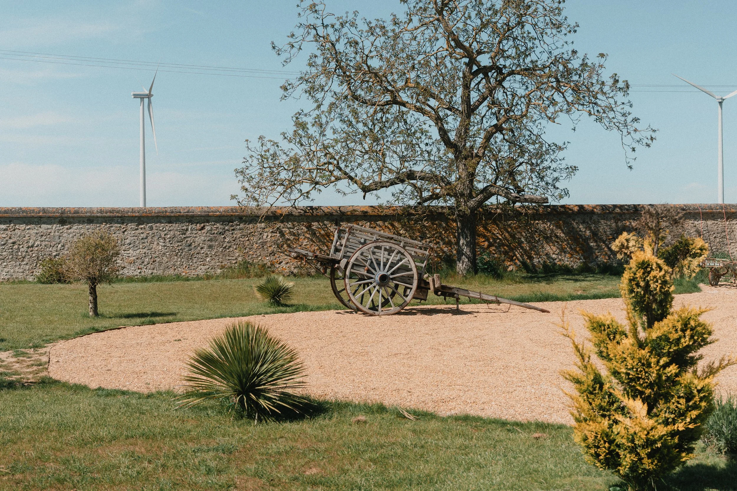 Un arbre au centre d'un jardin, avec un vieux chariot en bois à côté et une haie dense en arrière-plan, sous un ciel bleu clair.