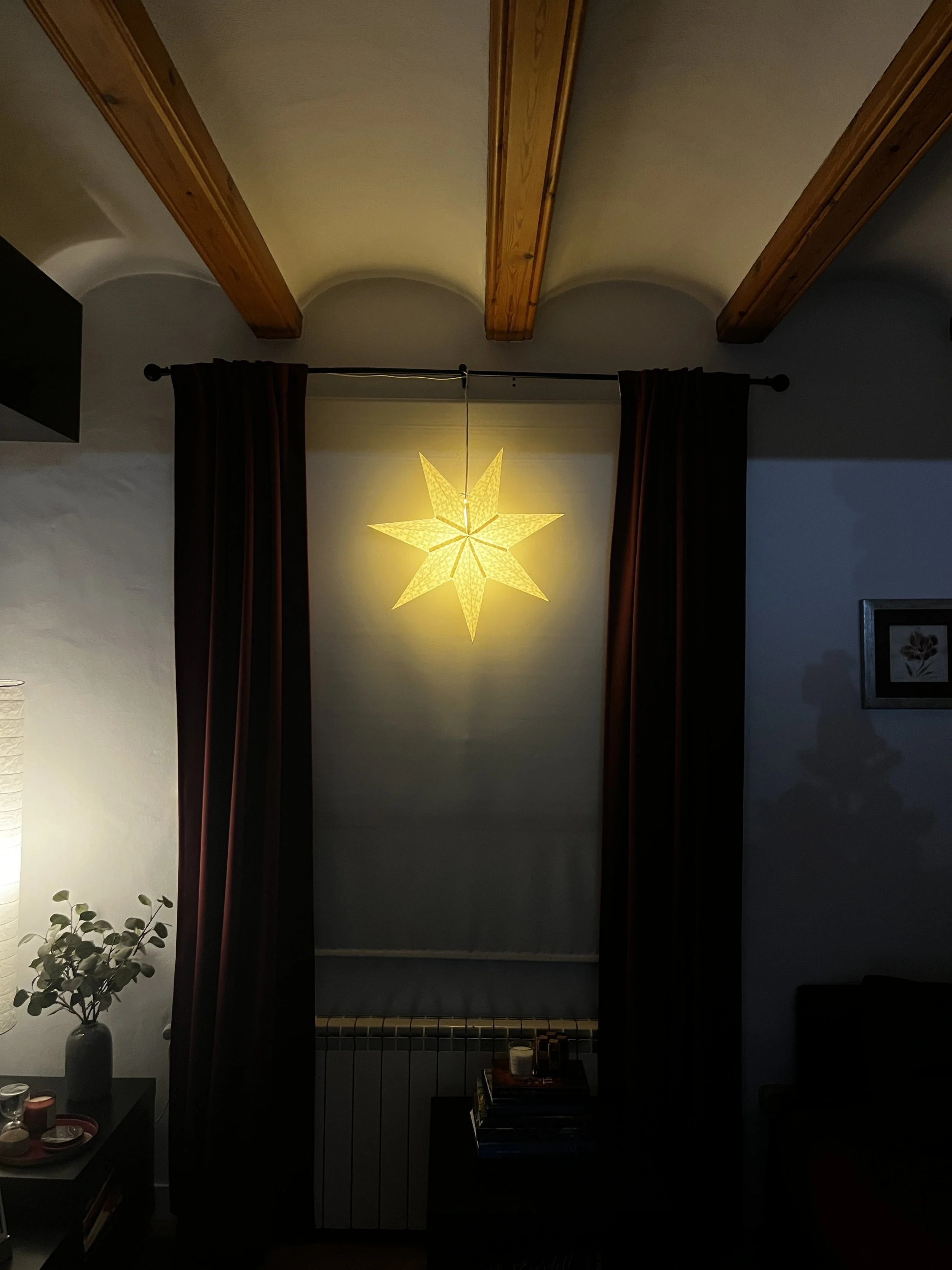 Souvenirs-famille-noel-photographe-paris6.JPG
