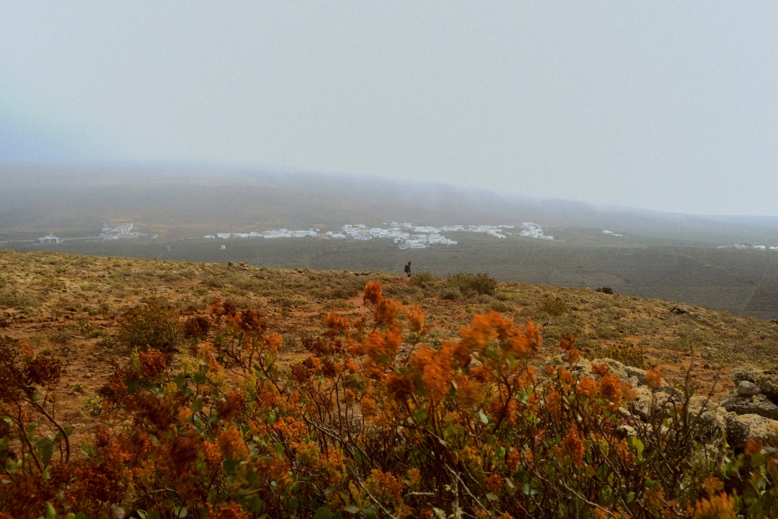 Paysage désertique avec des buissons oranges en premier plan, une personne marchant sur un chemin, et une petite ville blanche à l'horizon sous un ciel nuageux.