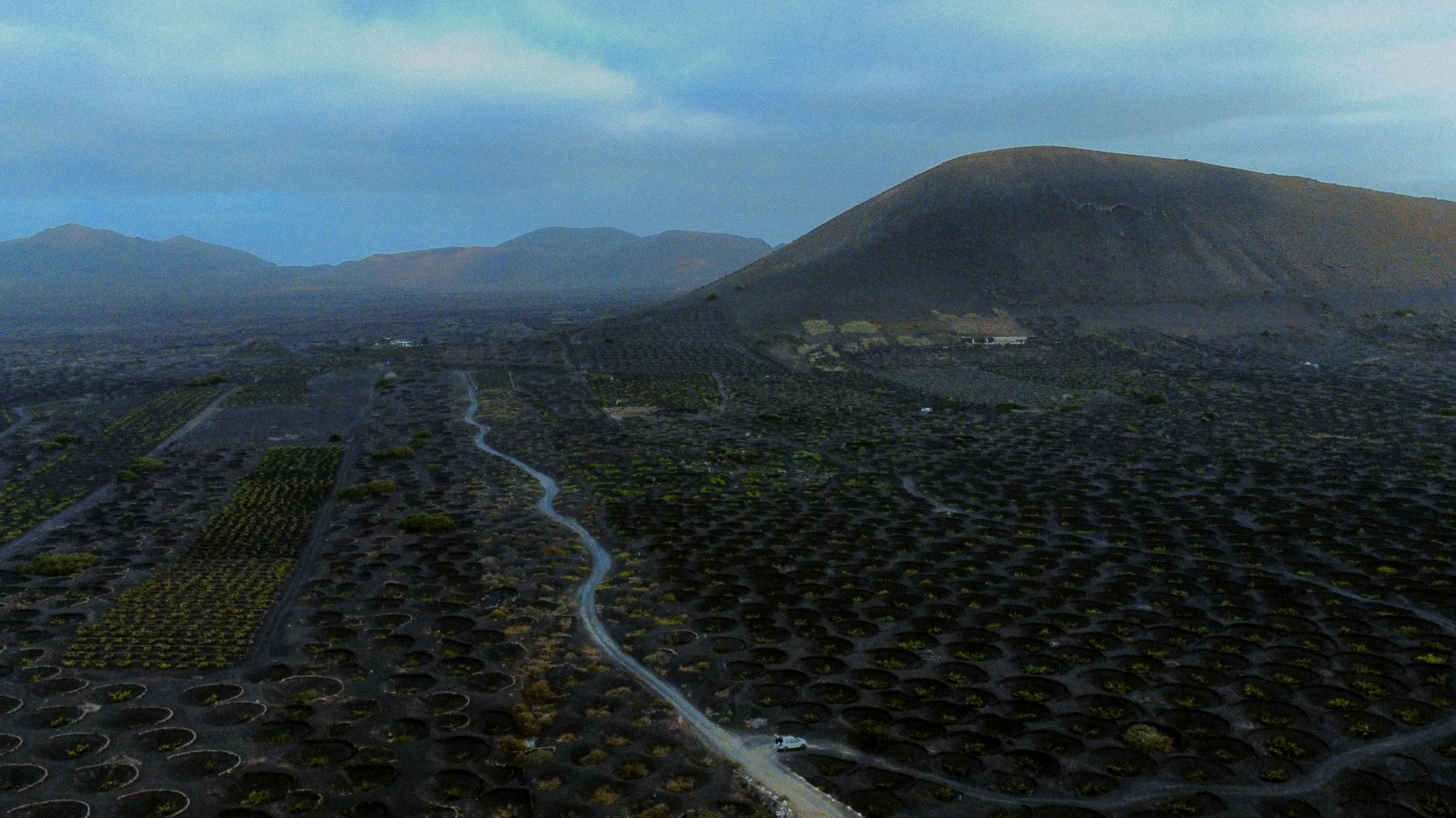 Un paysage avec des collines ou des montagnes en arrière-plan, des champs agriculturals avec des plants et des structures de culture, et un chemin serpente à travers ces champs pendant la période de fin d'après-midi ou de début de soirée.